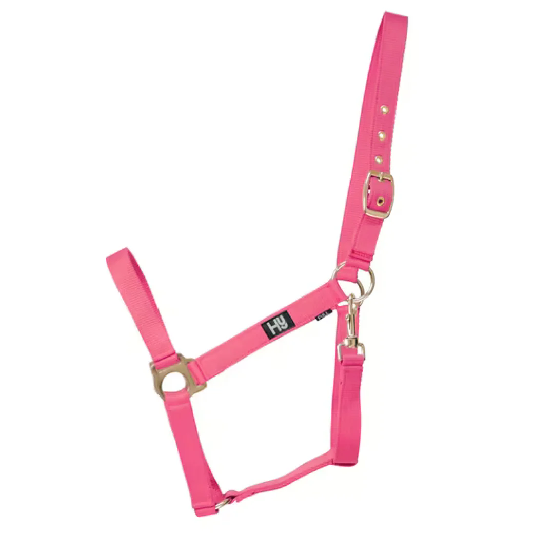 Hy Economy Plus Head Collar - Image 8