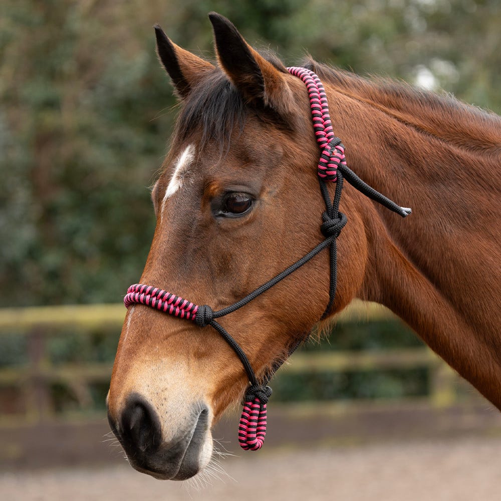 Hy Equestrian Double Braid Rope Halter - Image 2
