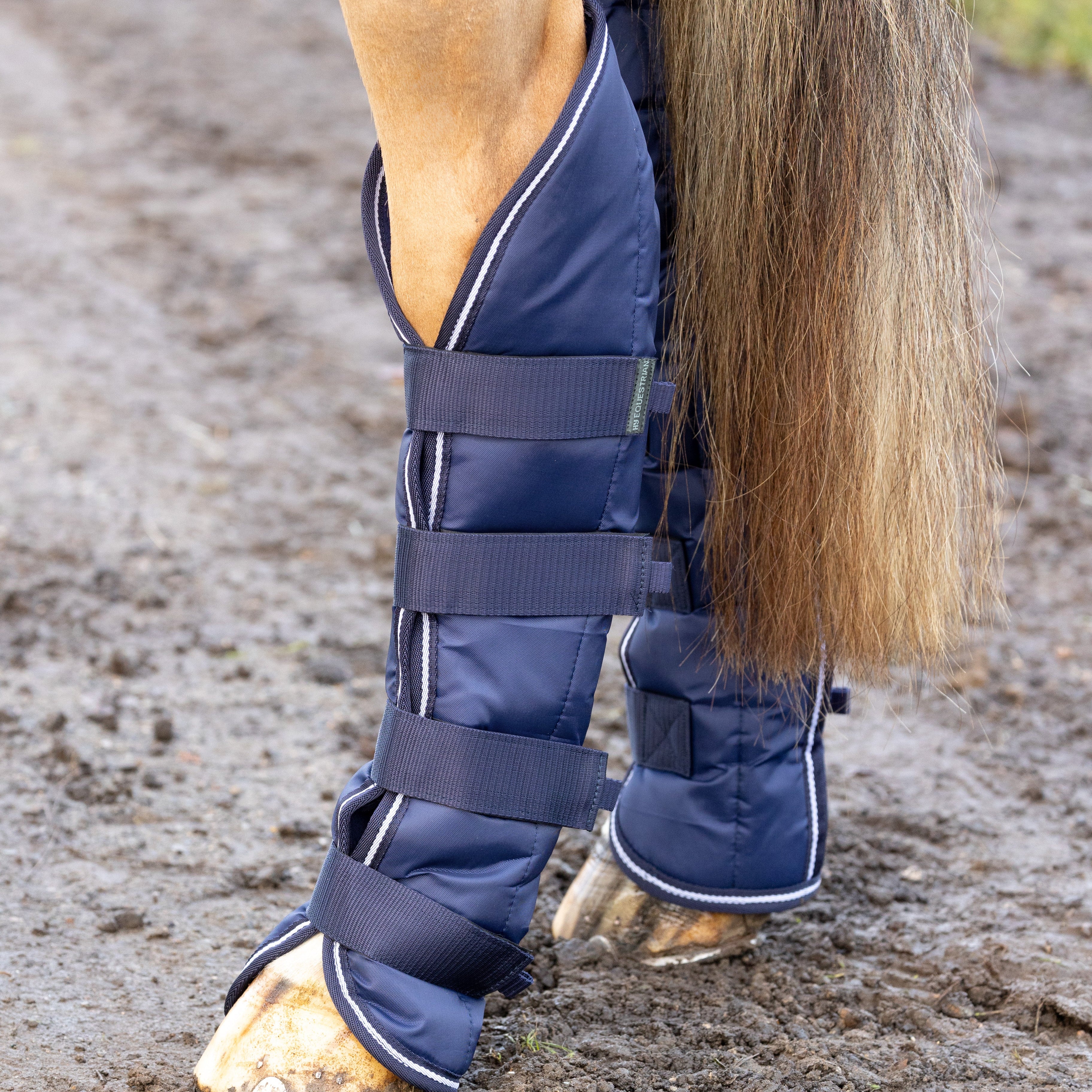 Hy Equestrian Economy Travel Boots - Image 3