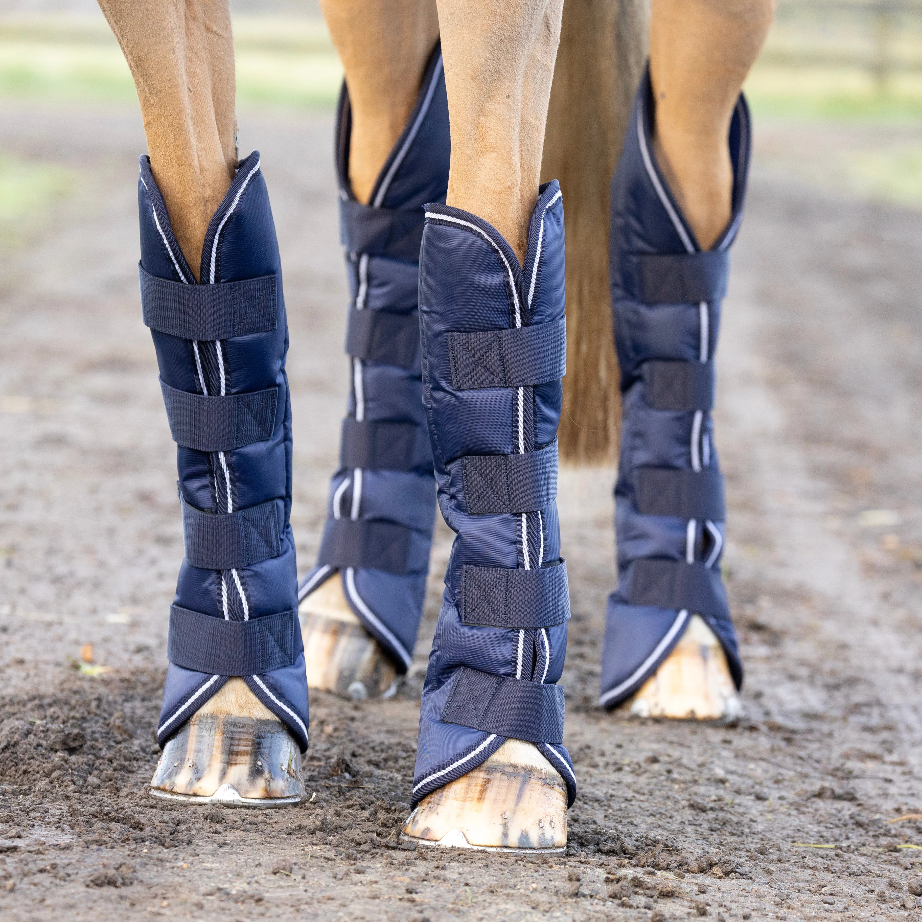 Hy Equestrian Economy Travel Boots - Image 4