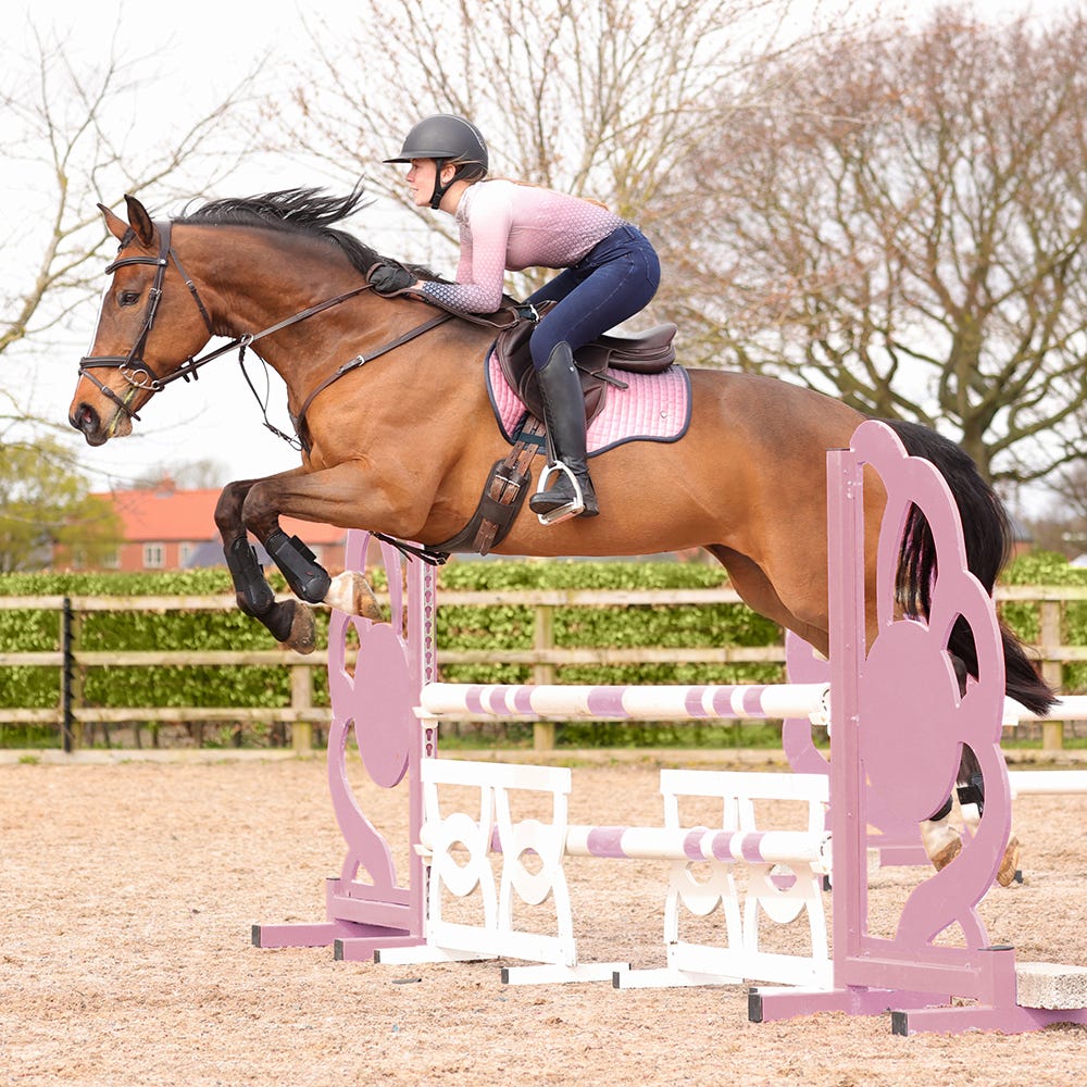 Hy Equestrian Elevate Saddle Pad - Image 4