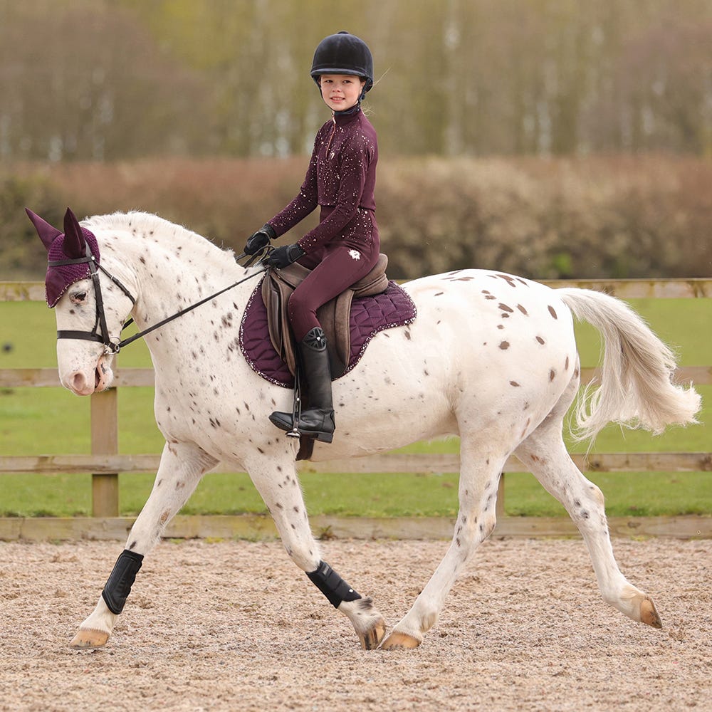 Hy Equestrian Enchanted Collection Fly Veil - Image 3