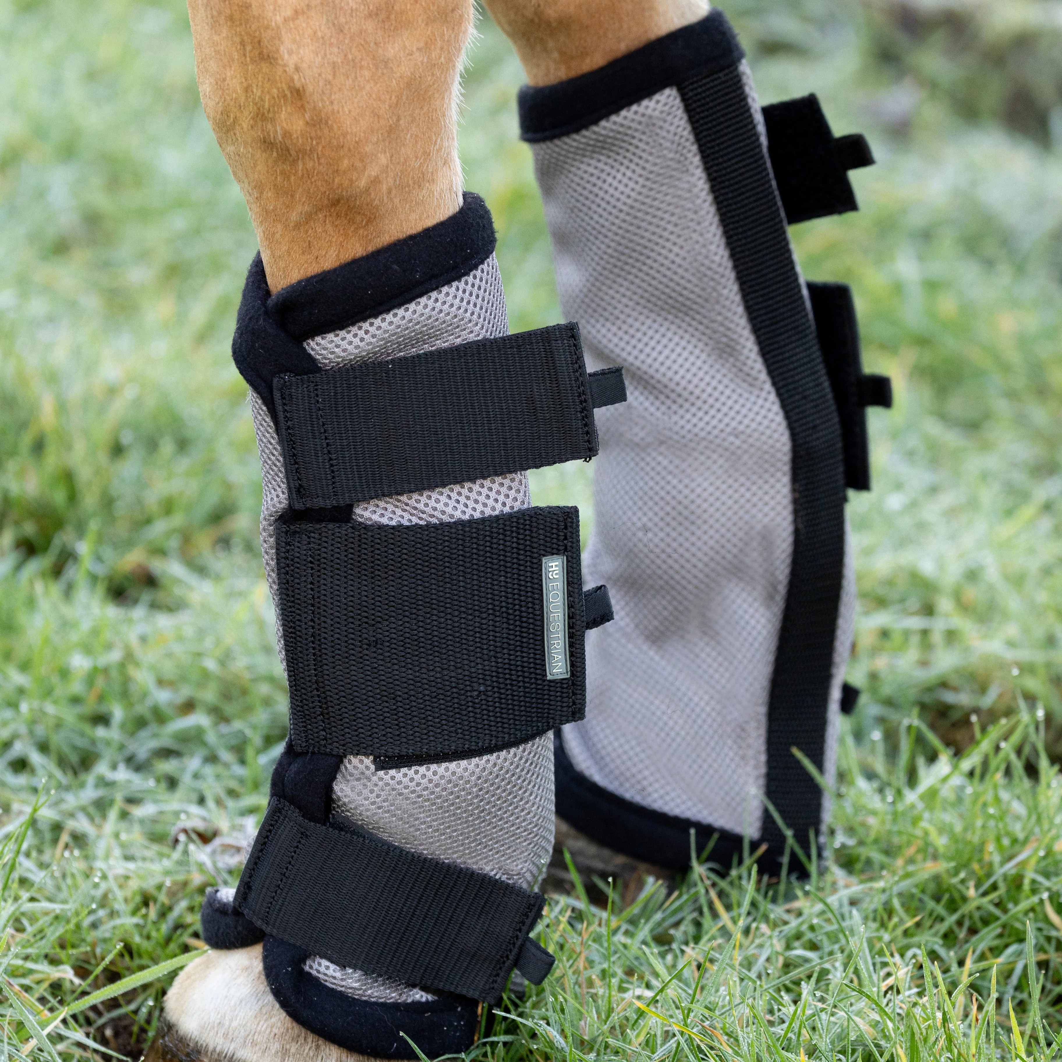 Hy Equestrian Fly Mesh Boot - Image 5