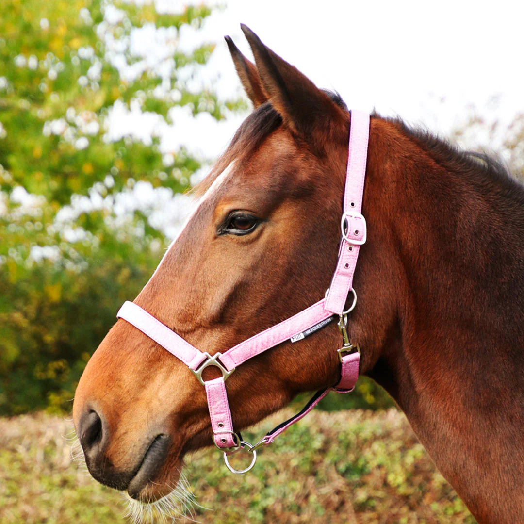 Hy Equestrian Glitzy Headcollar - Image 4
