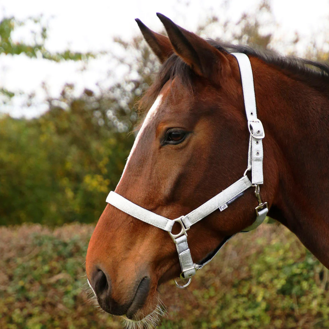 Hy Equestrian Glitzy Headcollar - Image 6