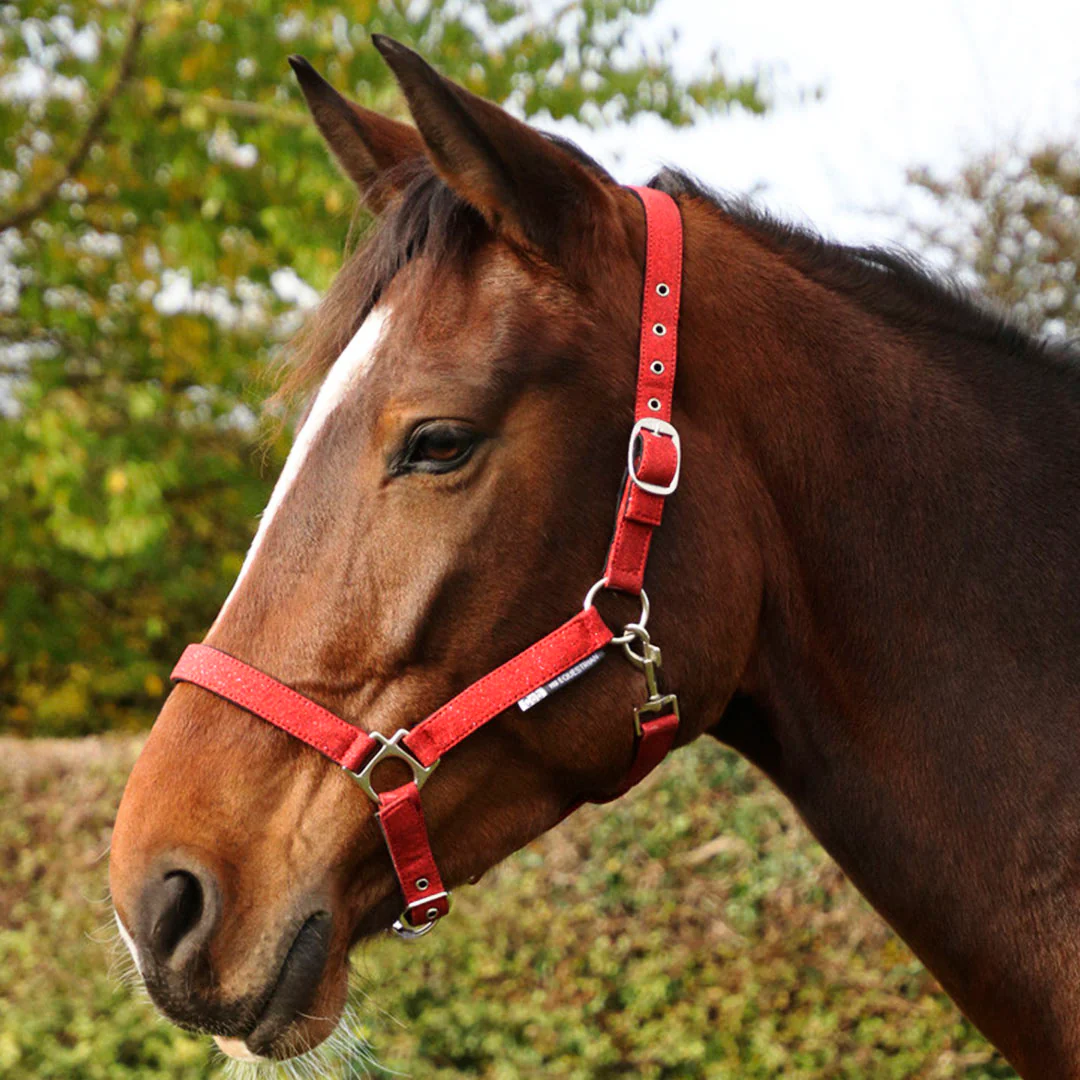 Hy Equestrian Glitzy Headcollar - Image 8
