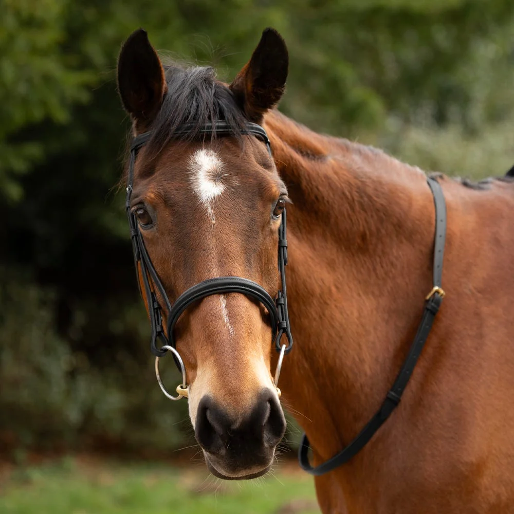 Hy Equestrian Leather Neck Strap - Image 3