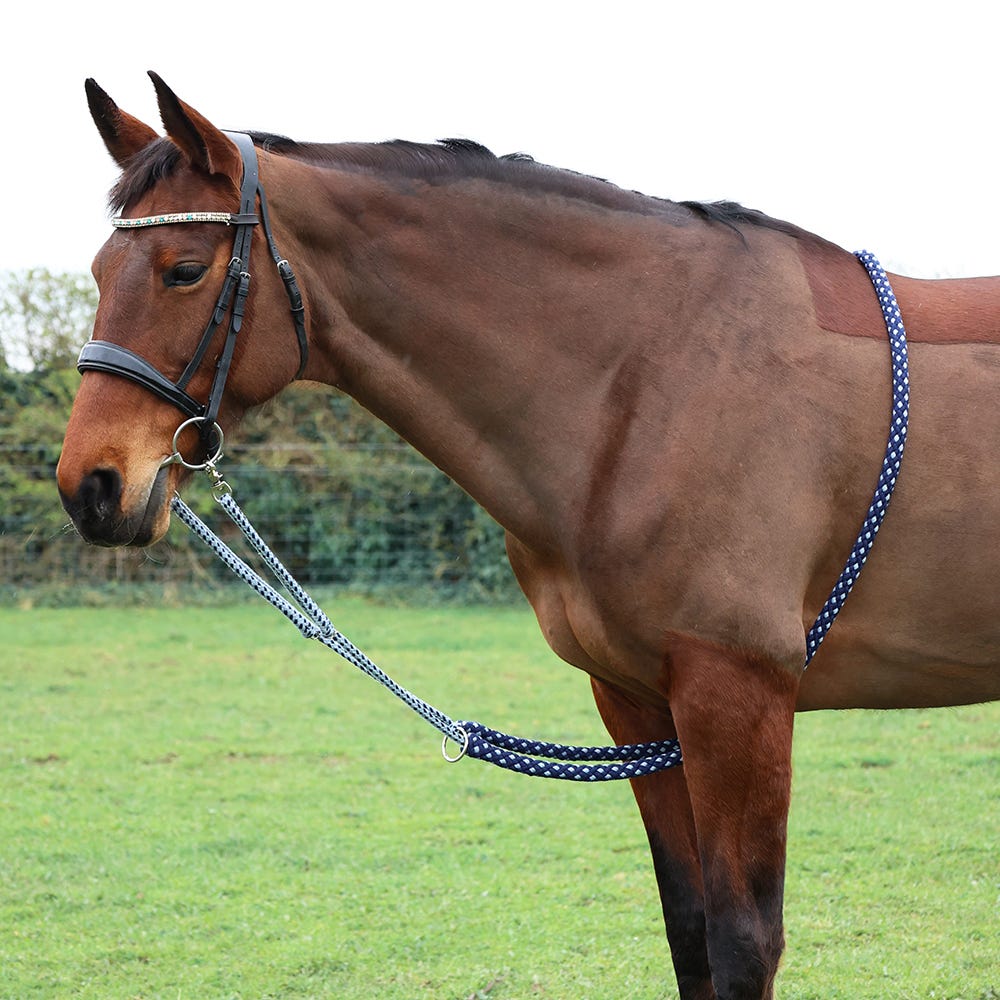 Hy Equestrian Lunging Aid - Image 2