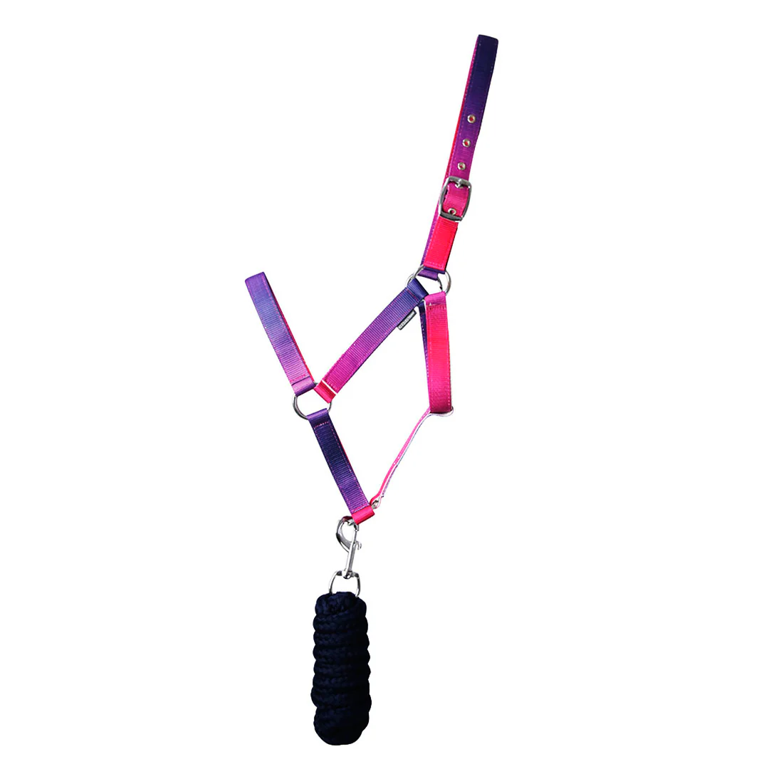 Hy Equestrian Ombre Head Collar & Lead Rope - Image 7