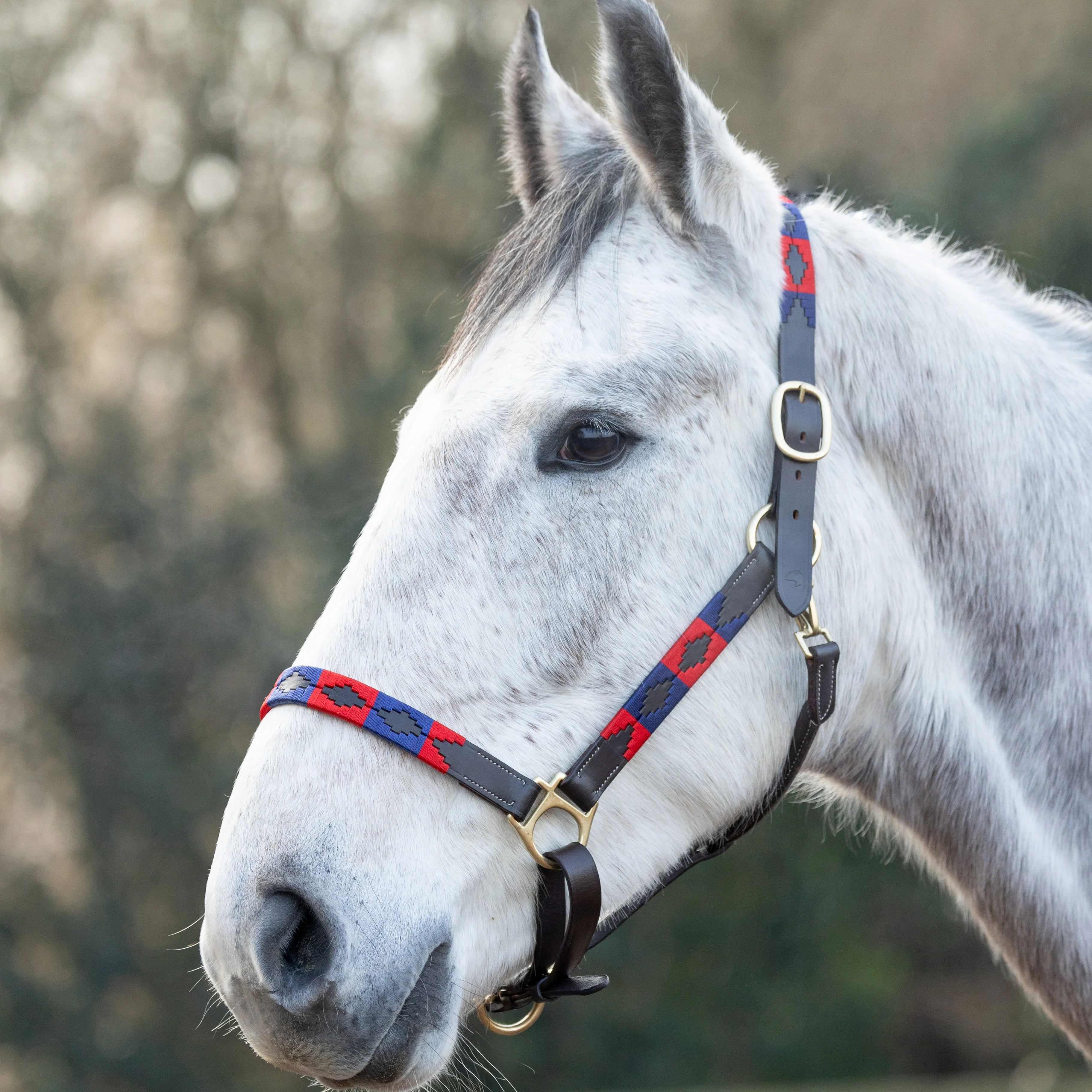 Hy Equestrian Polo Leather Head Collar - Image 3