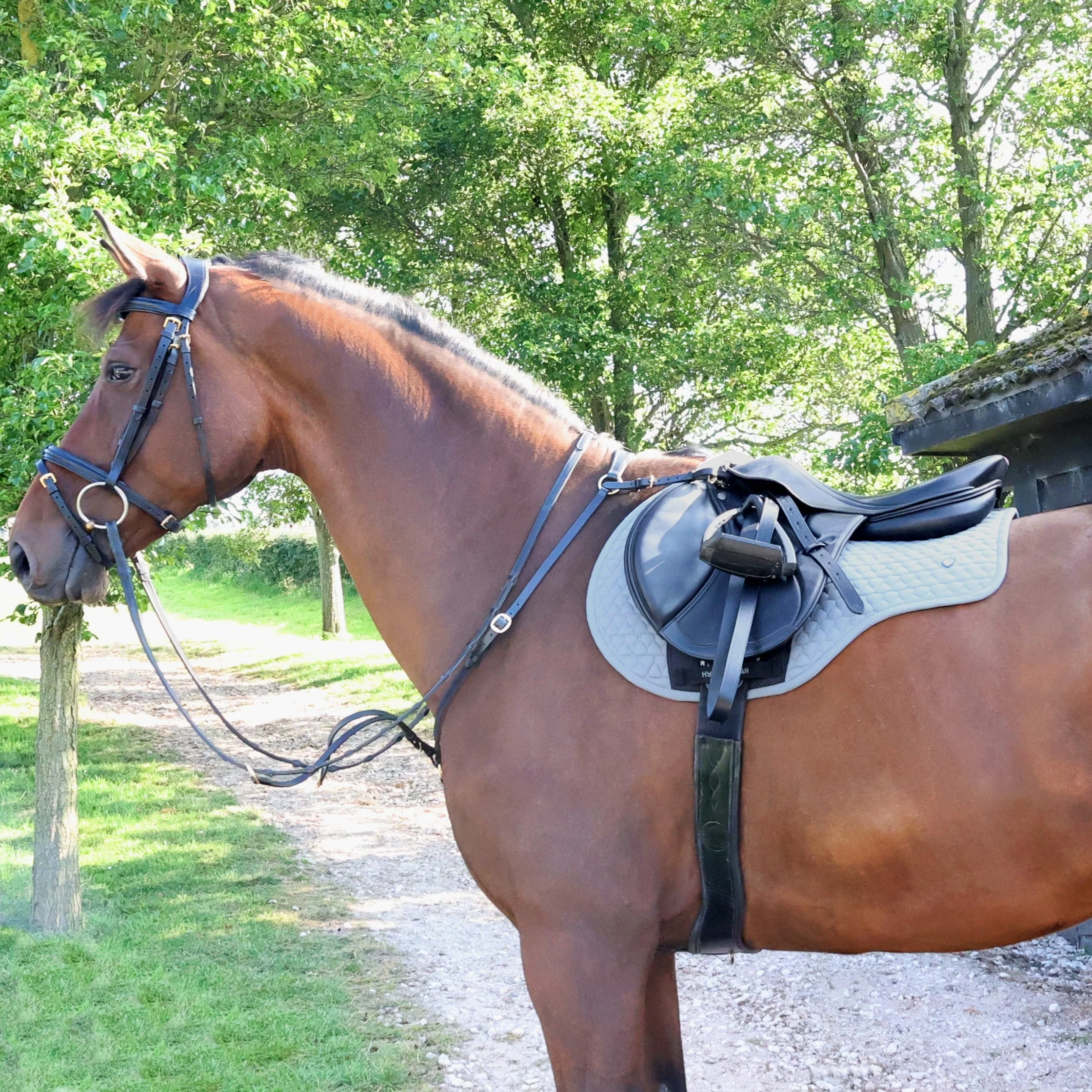 Hy Equestrian Pro Reaction Close Contact Saddle Pad - Image 3