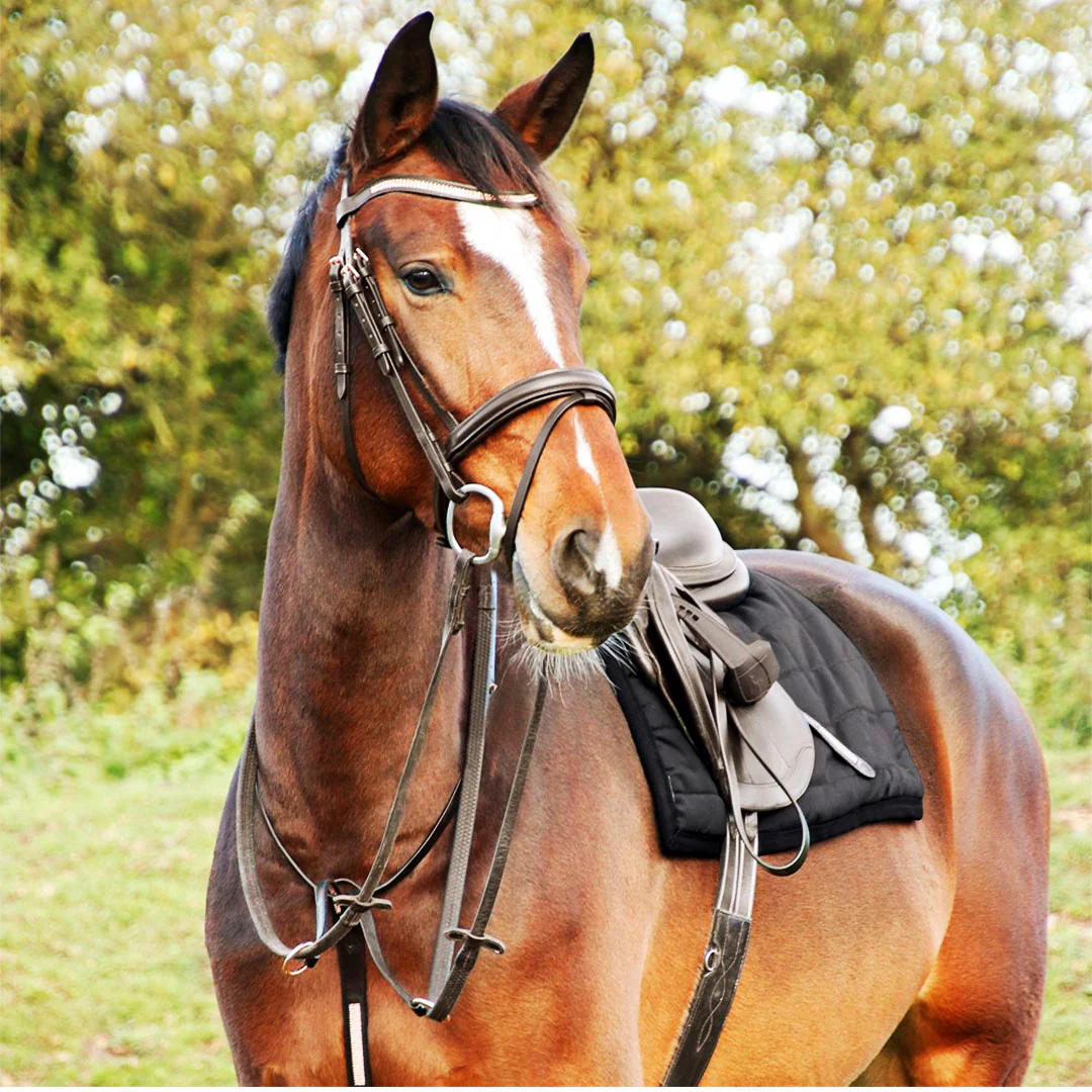 Hy Equestrian Rosciano Rose Gold Detail Bridle - Image 3