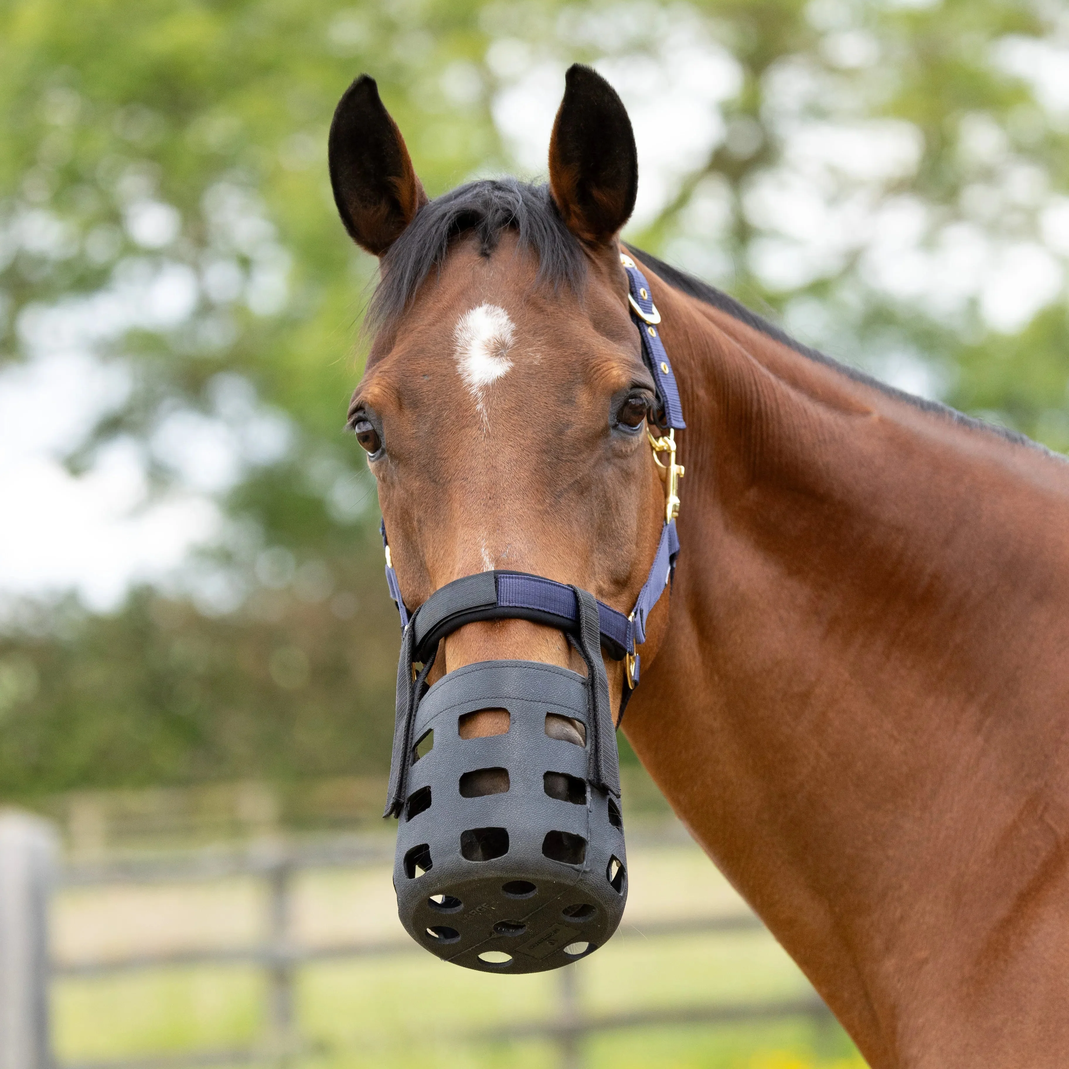 Hy Equestrian Rubber Muzzle - Image 5