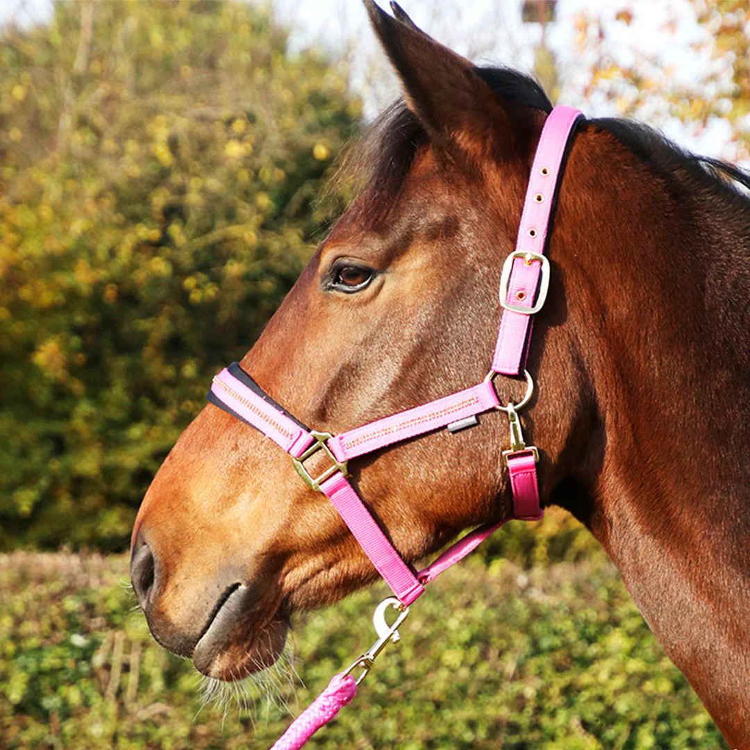 Hy Equestrian Sparkling Head Collar & Lead Rope Set - Image 6