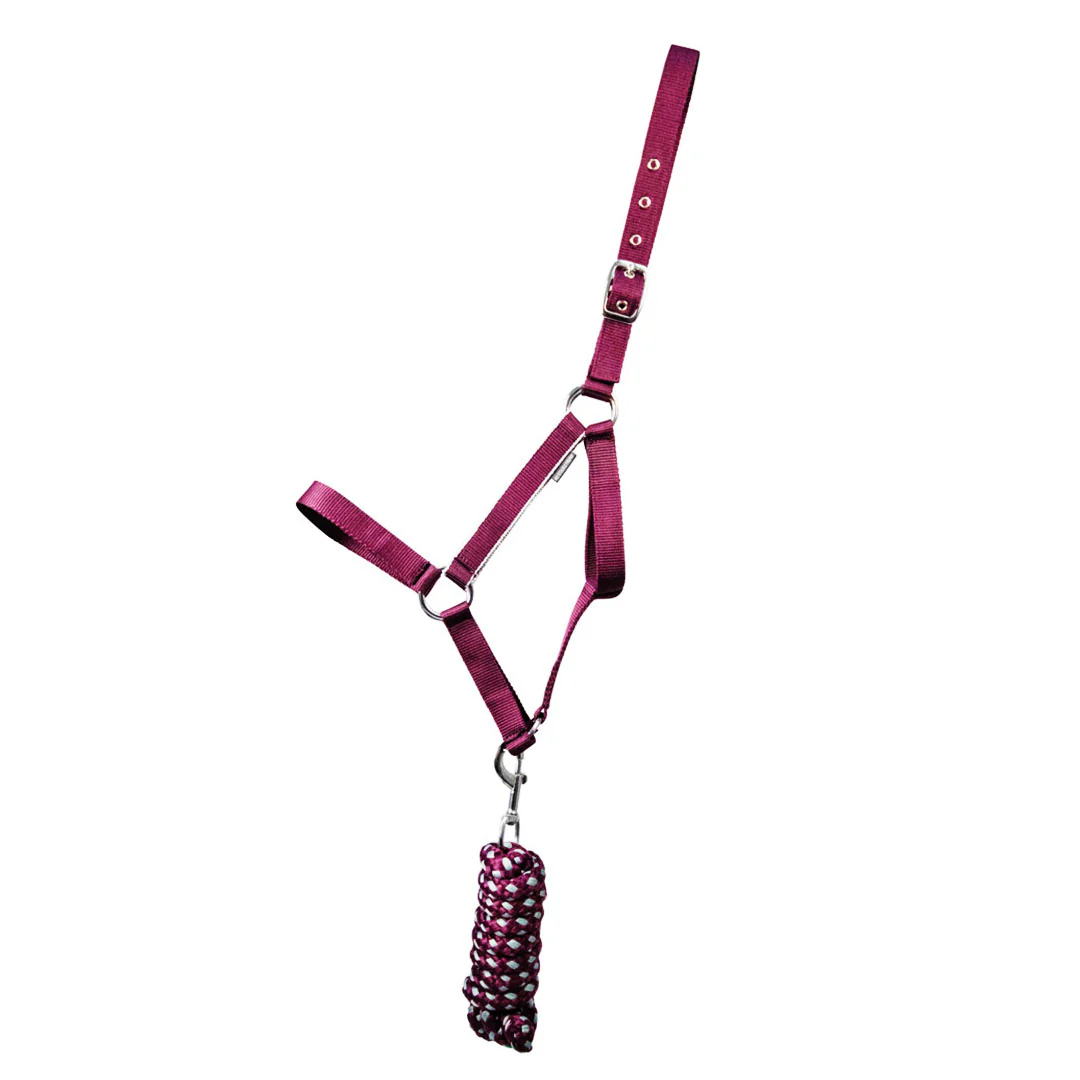 Hy Equestrian Synergy Head Collar and Lead Rope Set - Image 21