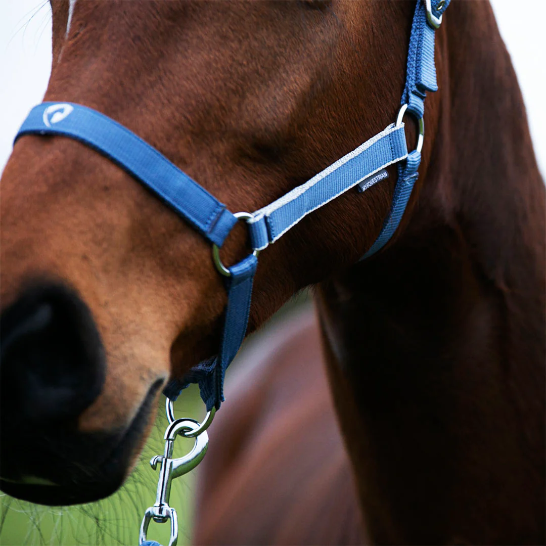 Hy Equestrian Synergy Head Collar and Lead Rope Set - Image 25