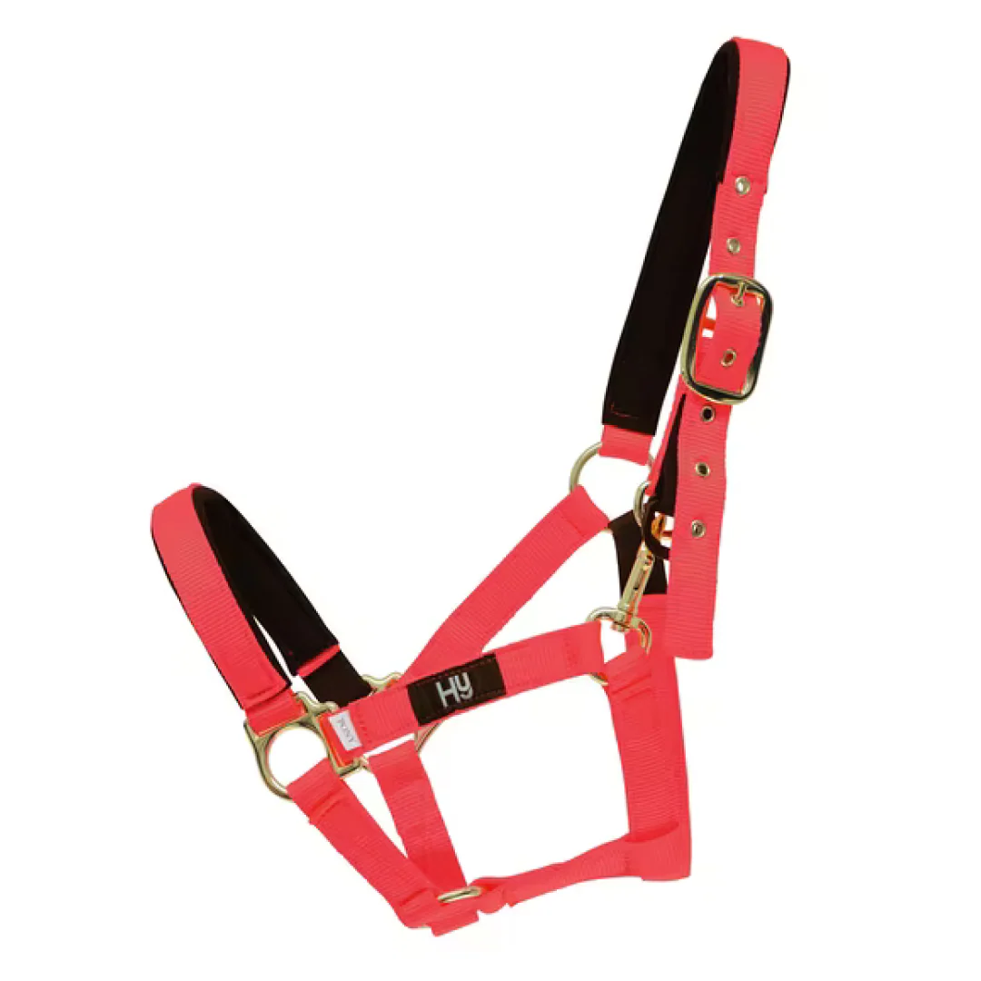 Hy Fieldsafe Head Collar - Image 5