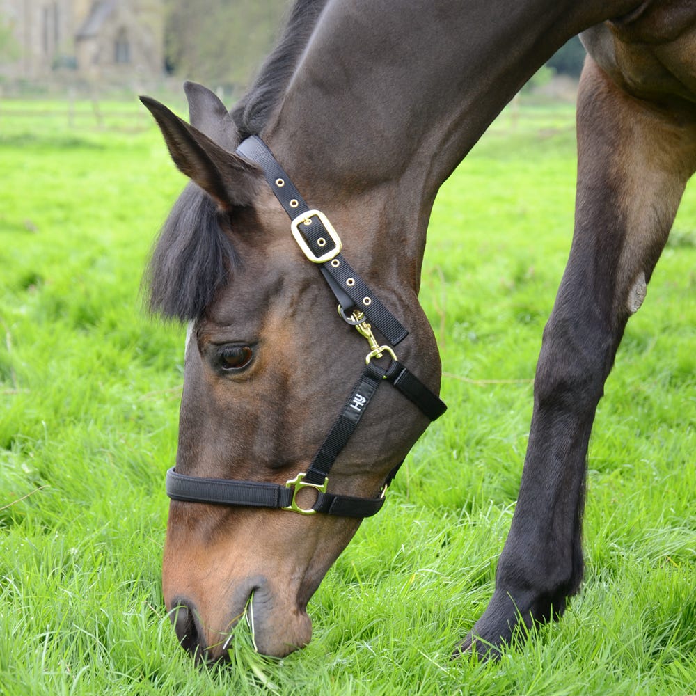 Hy Fieldsafe Head Collar - Image 7