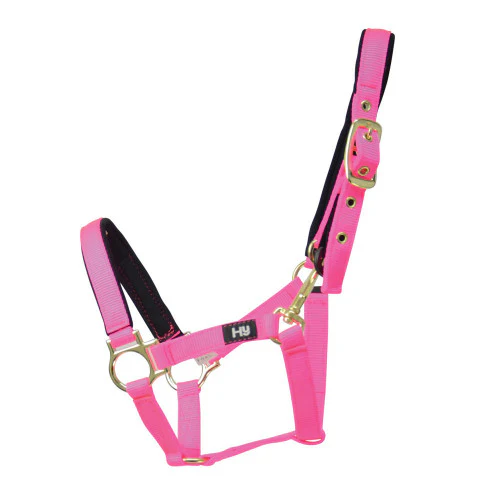 Hy Fieldsafe Small Pony & Foal Head Collar - Image 3