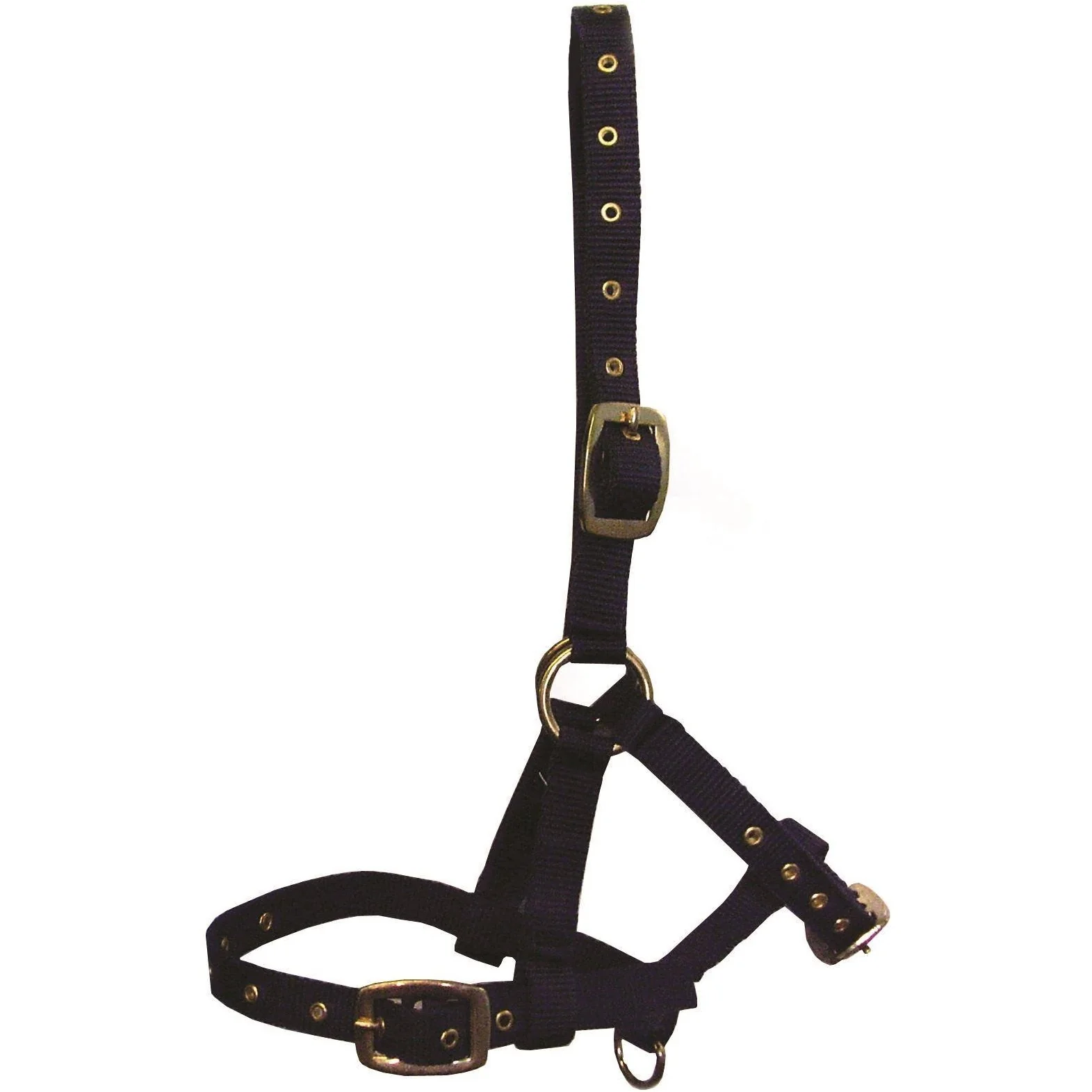 Hy Foal Head Collar - Image 2