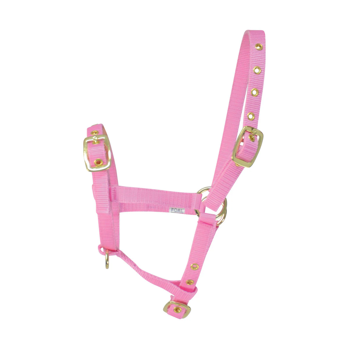 Hy Foal Head Collar - Image 3