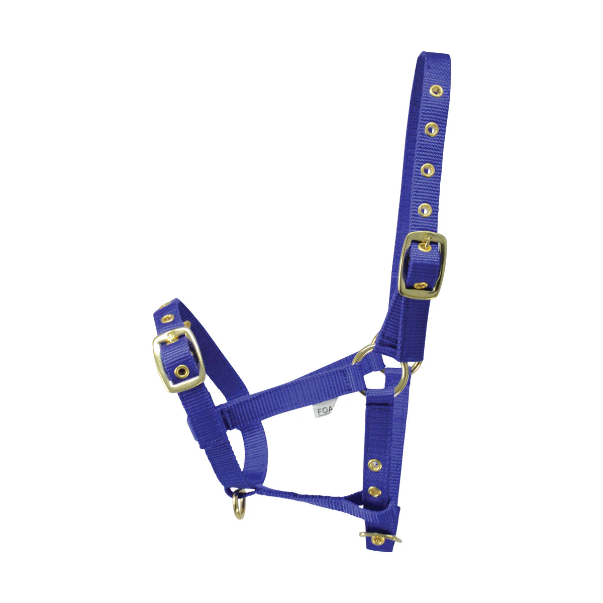Hy Foal Head Collar - Image 4