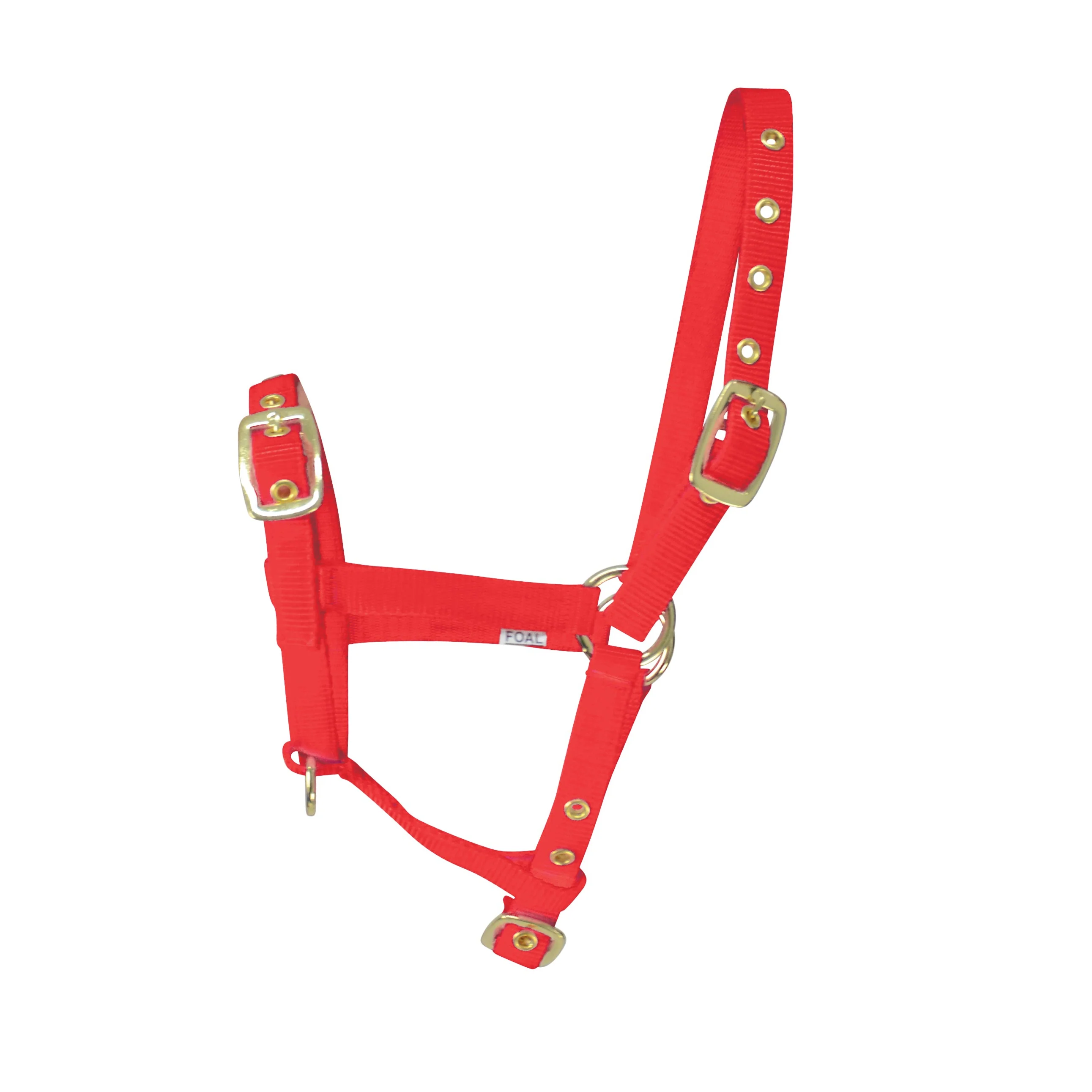 Hy Foal Head Collar - Image 5