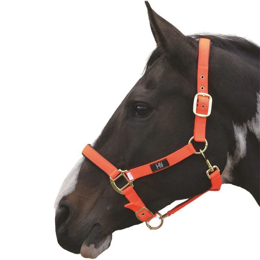 Hy Grand Prix Head Collar - Image 4