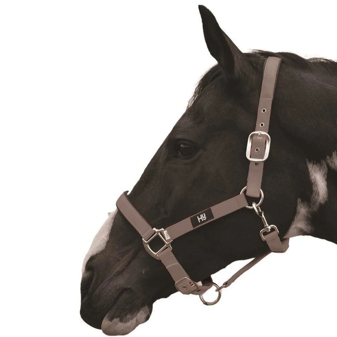 Hy Grand Prix Head Collar - Image 5