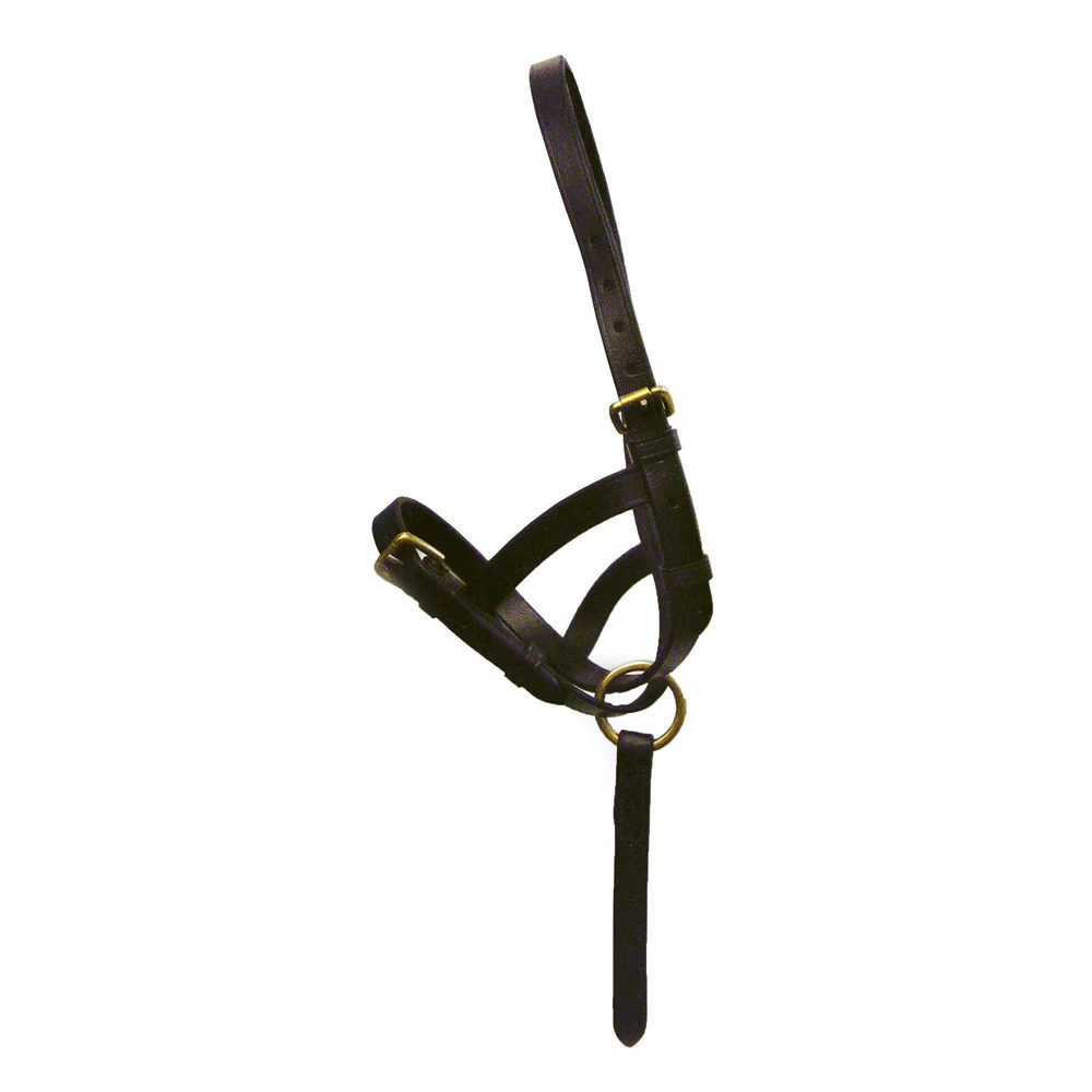 Hy Leather Foal Slip - Image 2