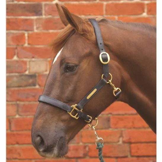 Hy Leather Head Collar