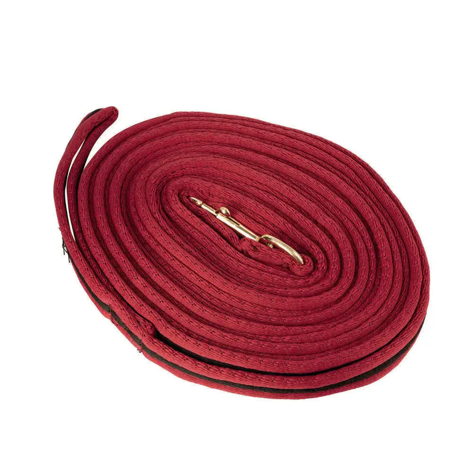 Hy Soft Webbing Lunge Rein - Image 4