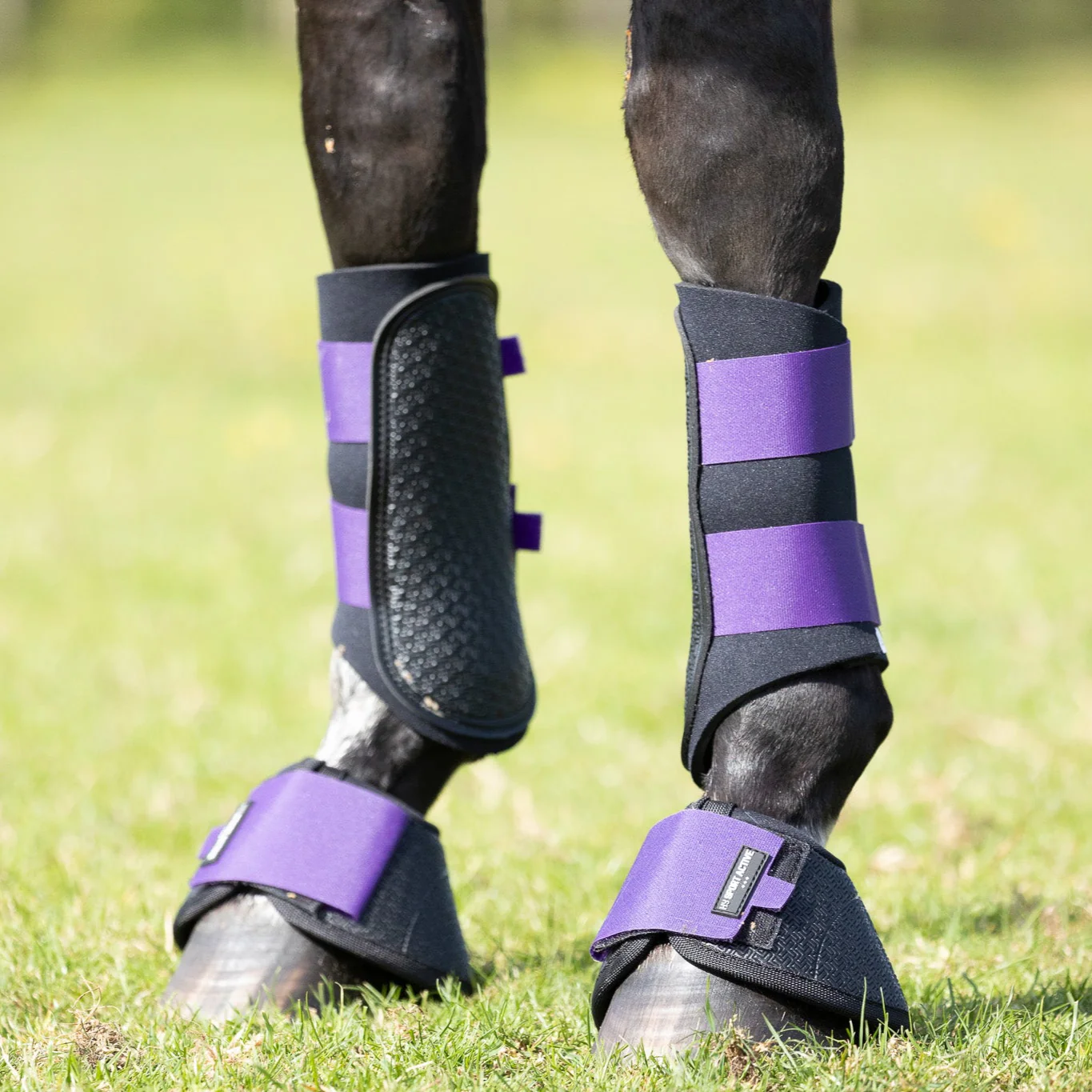 Hy Sport Active Brushing Boots - Image 4