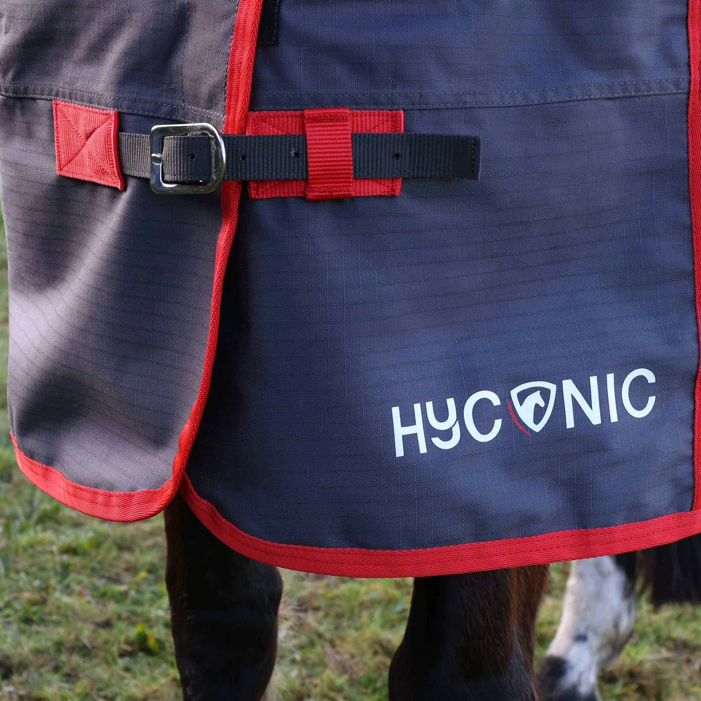 HYCONIC 0g Turnout Rug - Image 2