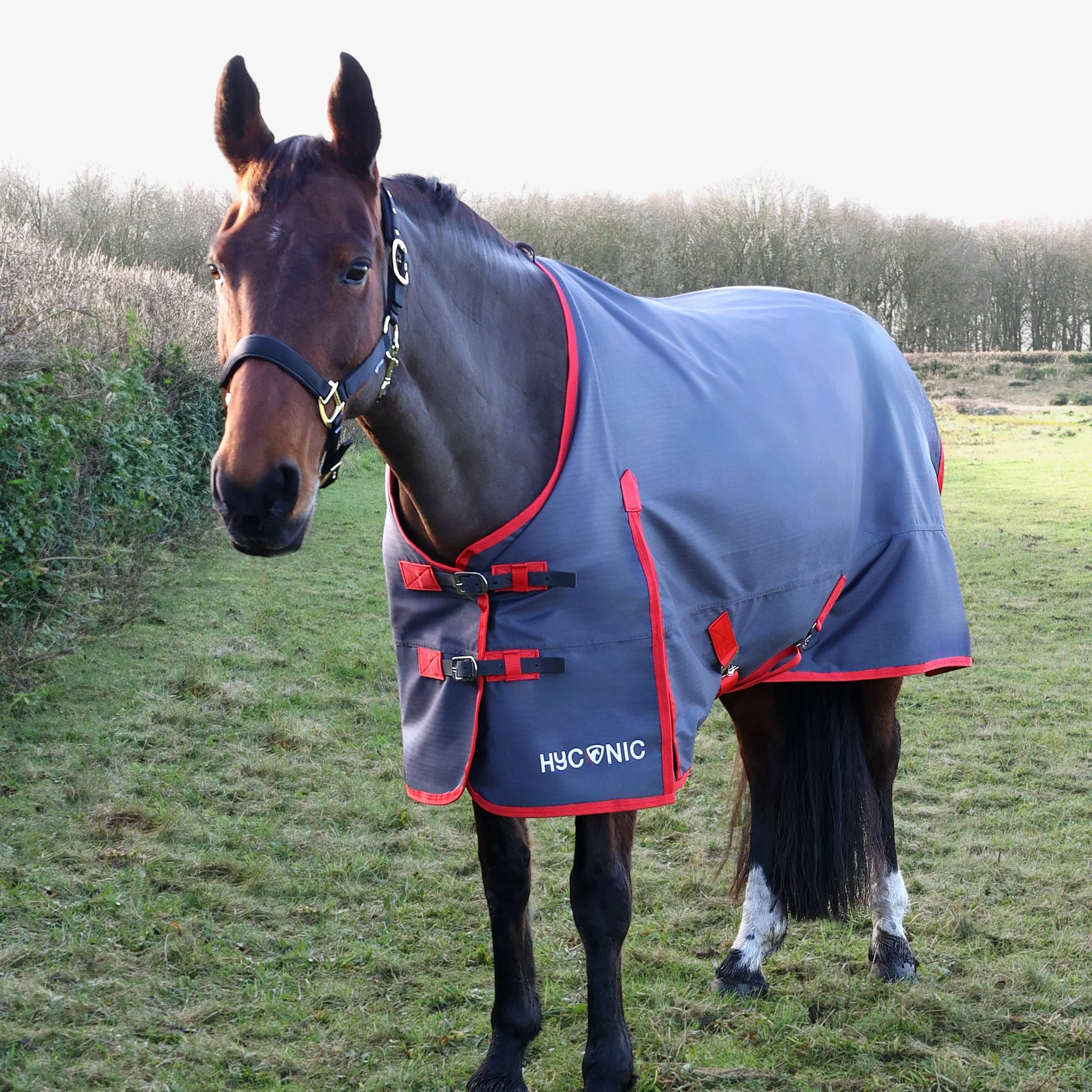 HYCONIC 0g Turnout Rug - Image 3