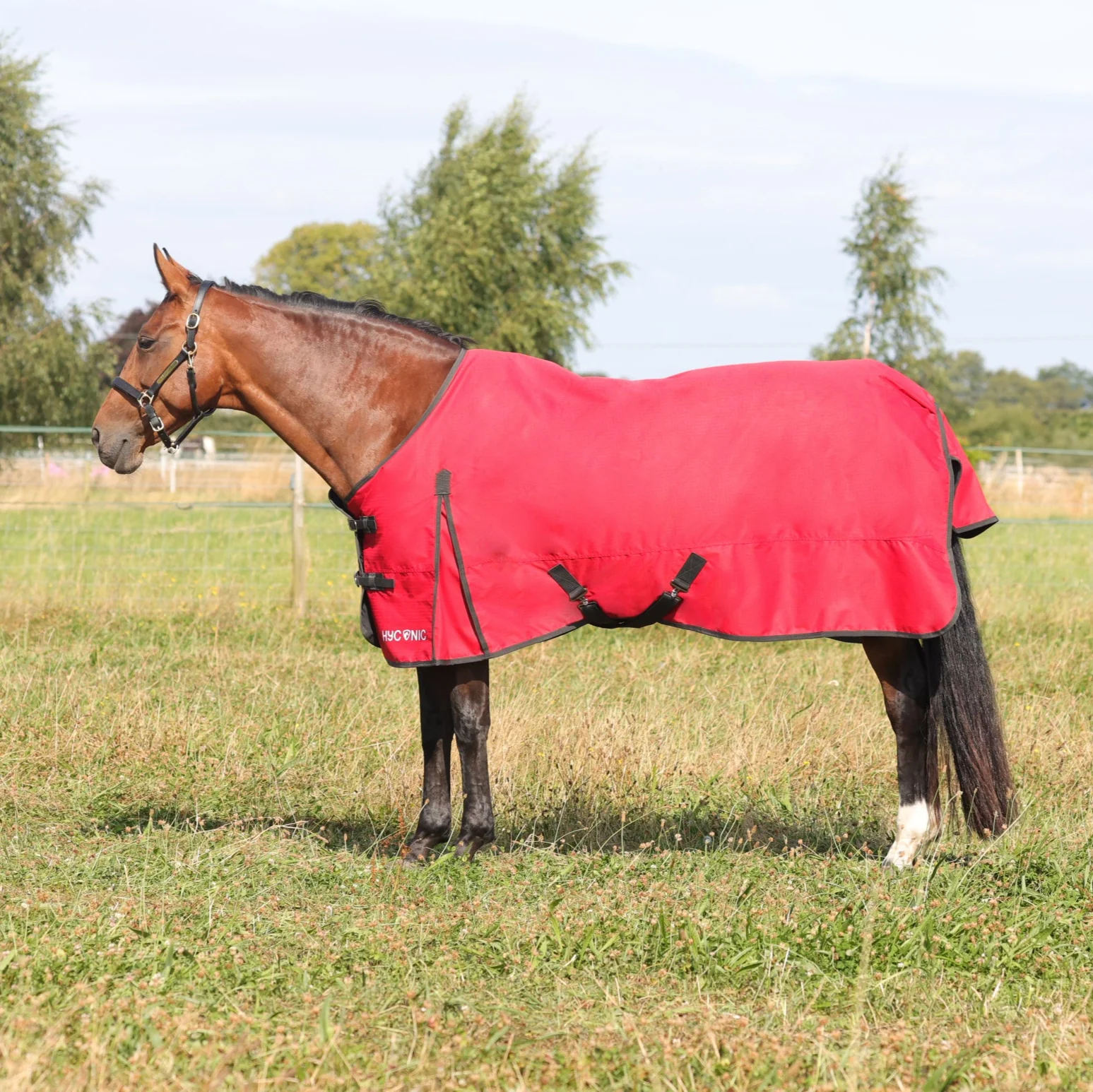 HyCONIC 200g Turnout Rug