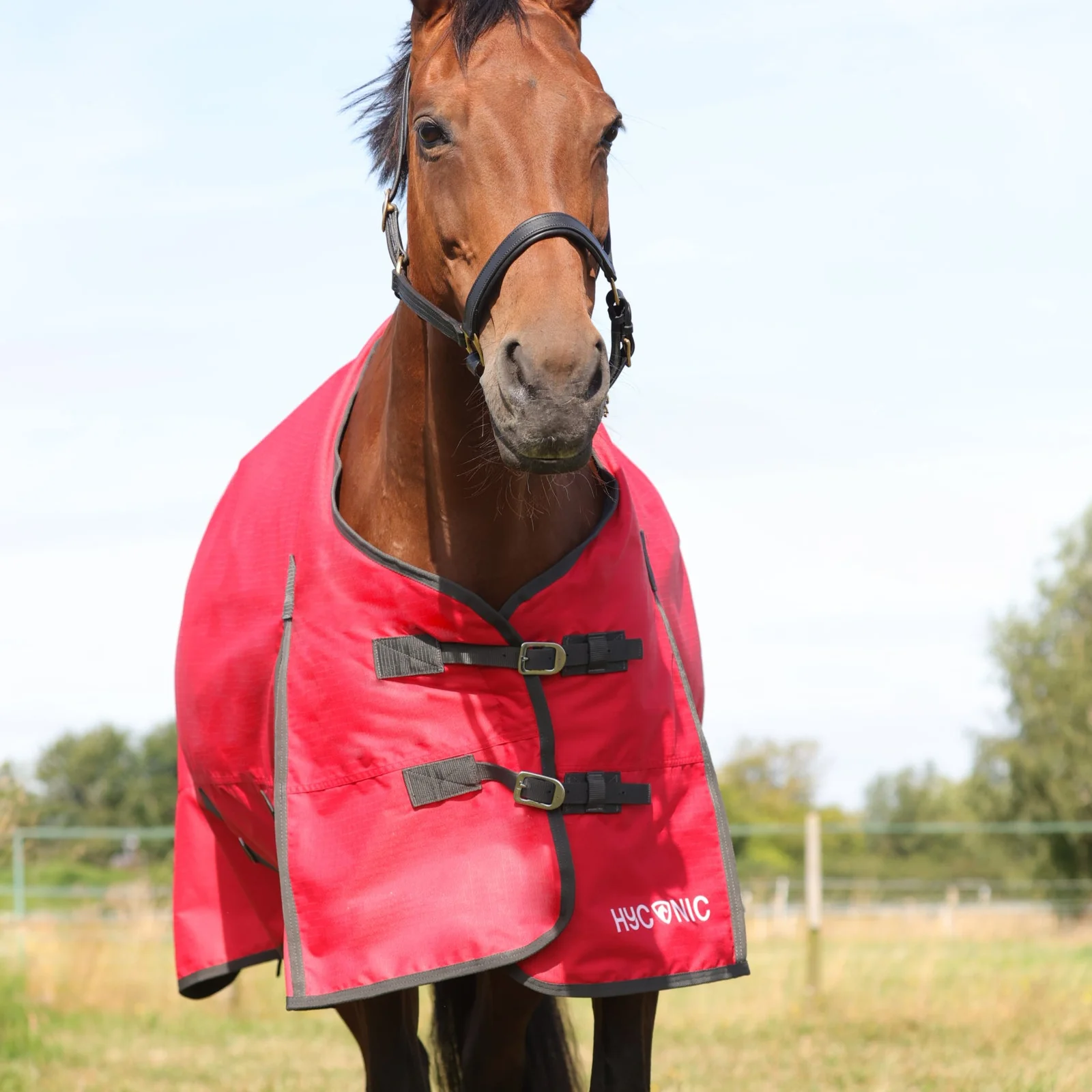 HyCONIC 200g Turnout Rug - Image 2