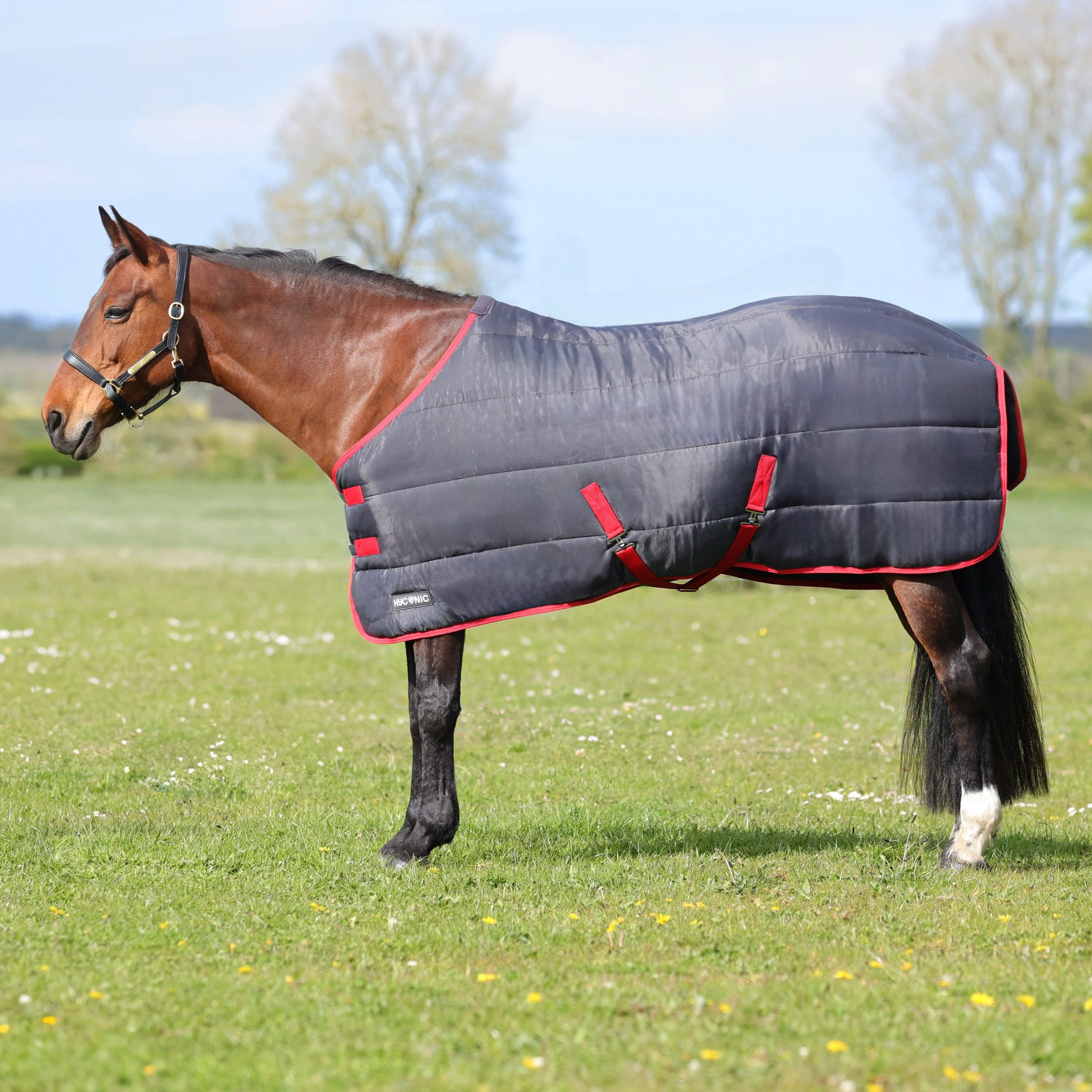 HYCONIC 250g Stable Rug