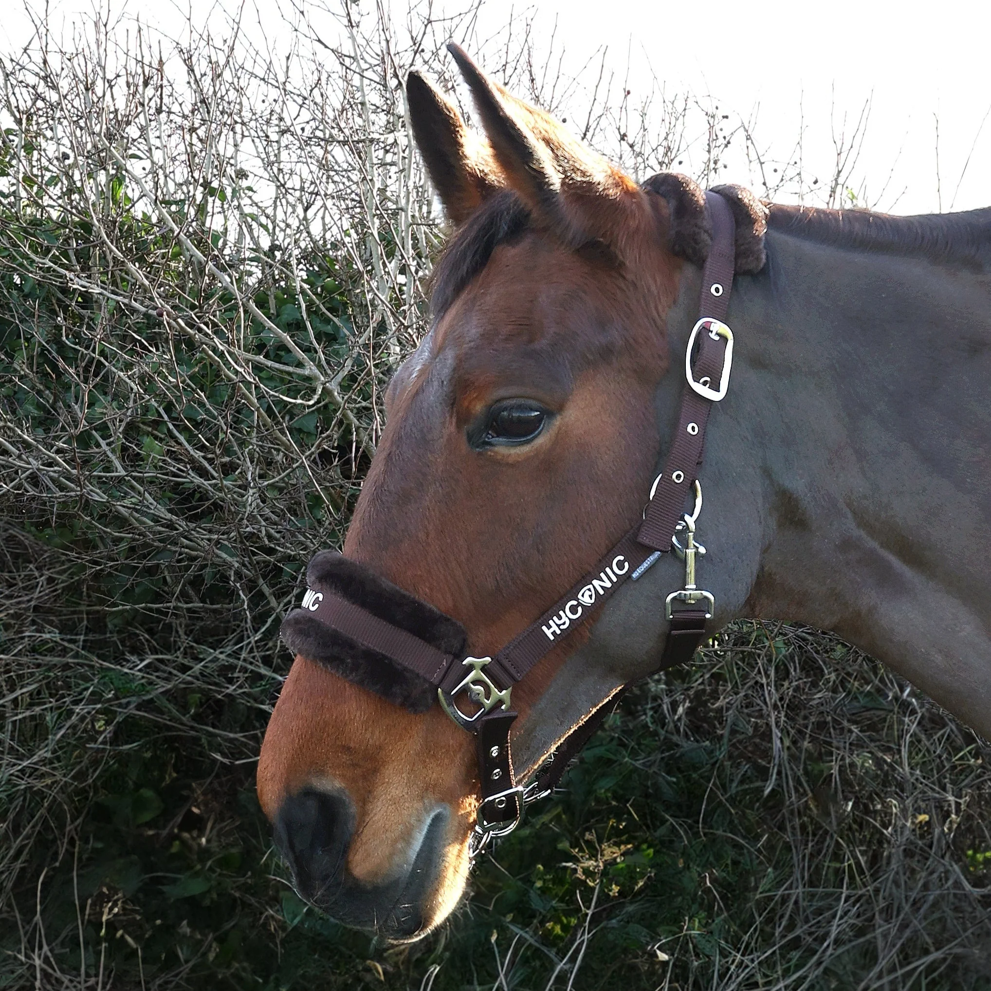 HYCONIC Faux Fur Head Collar & Lead Rope - Image 2