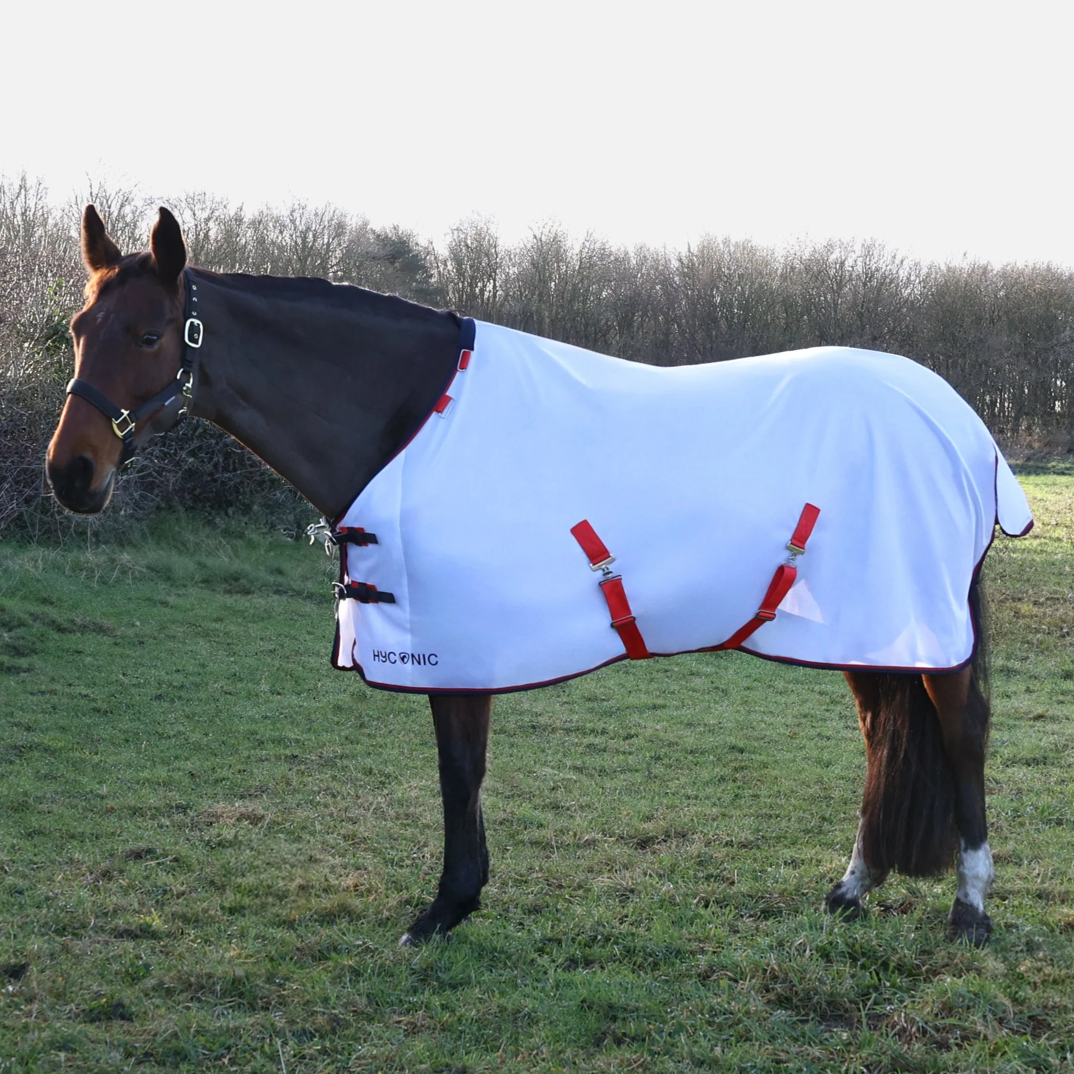 HYCONIC Fly Rug with Detachable Neck - Image 2