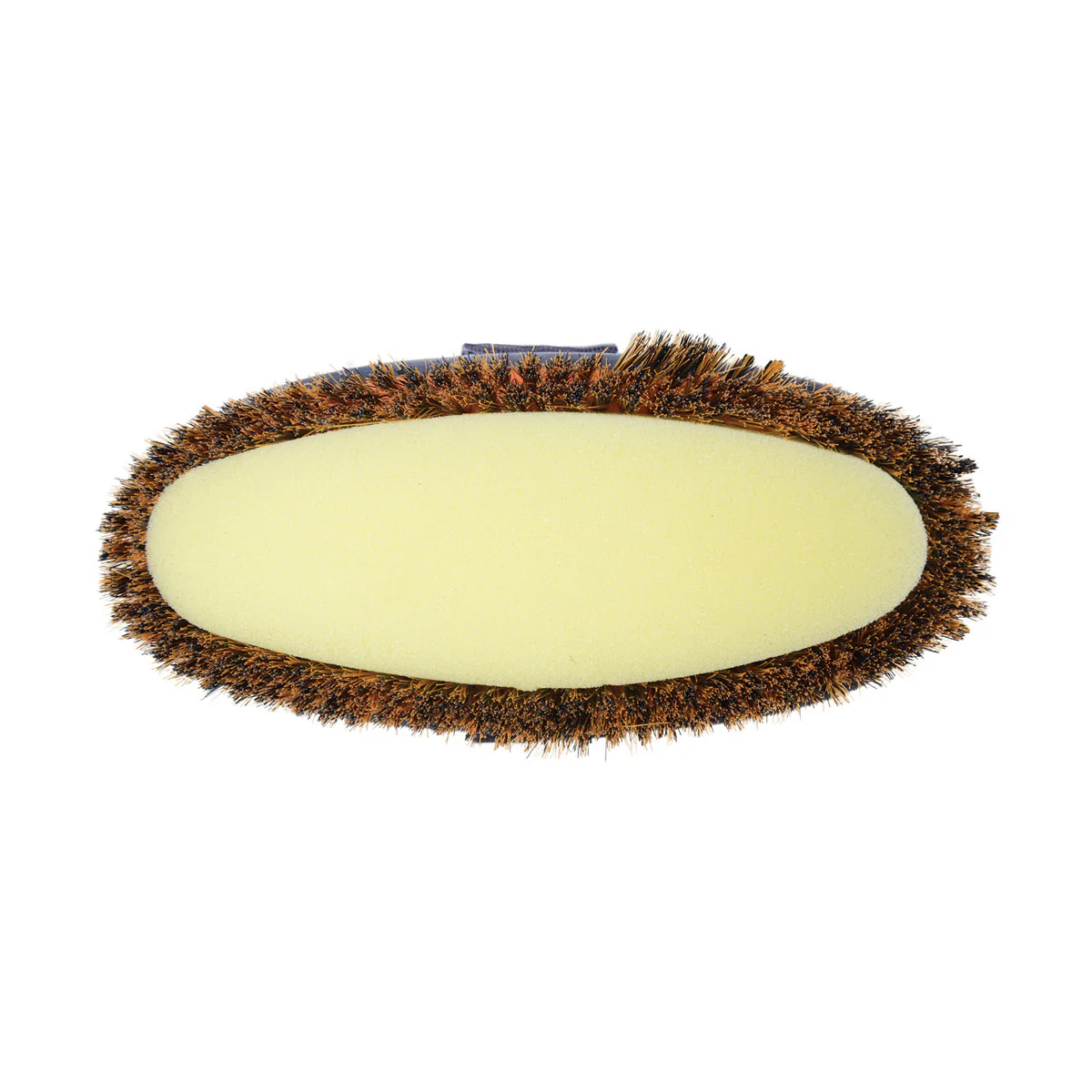 HySHINE Pro Groom Sponge Brush - Image 3