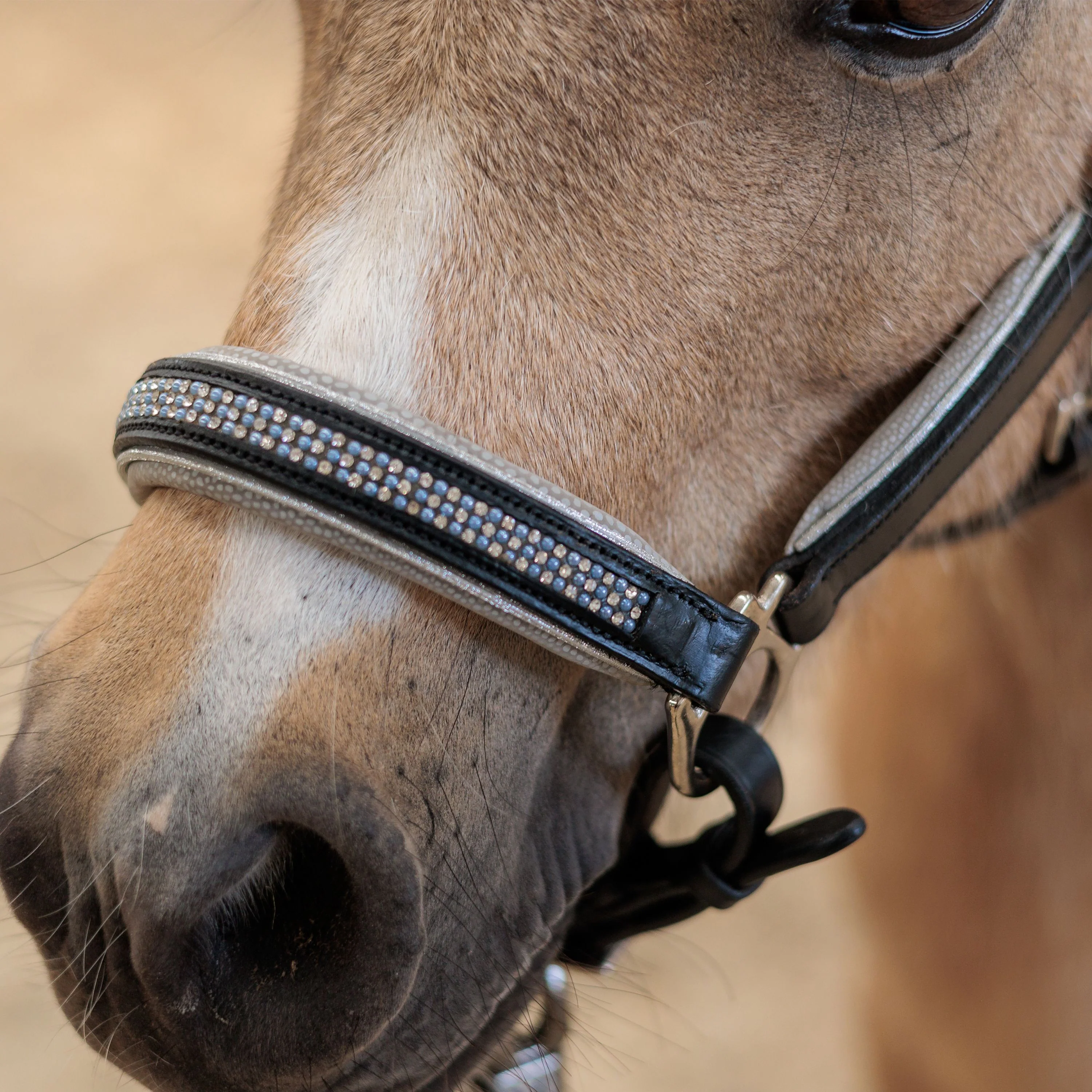 Imperial Riding Rainbow Headcollar - Image 3