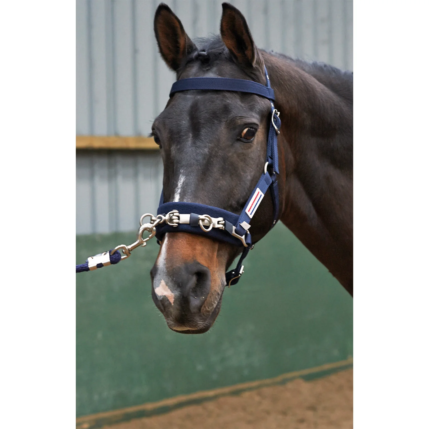 John Whitaker Cavesson Lunge - Image 2