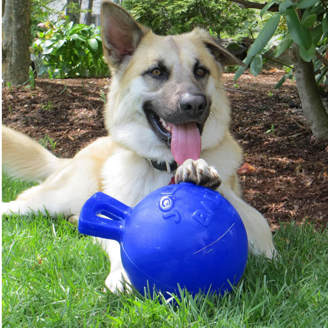 Jolly Pets Tug-n-Toss Jolly Ball - Image 2
