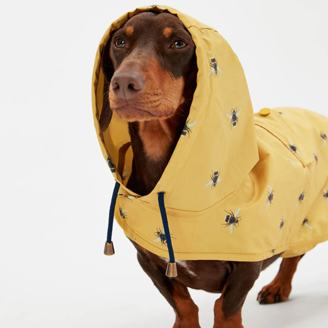 Joules GoLightly Packaway Jacket - Image 2