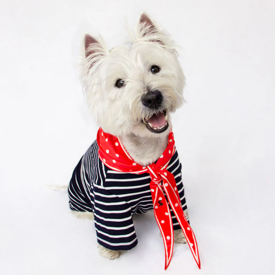 Joules Harbour Top & Neckerchief Set - Image 10