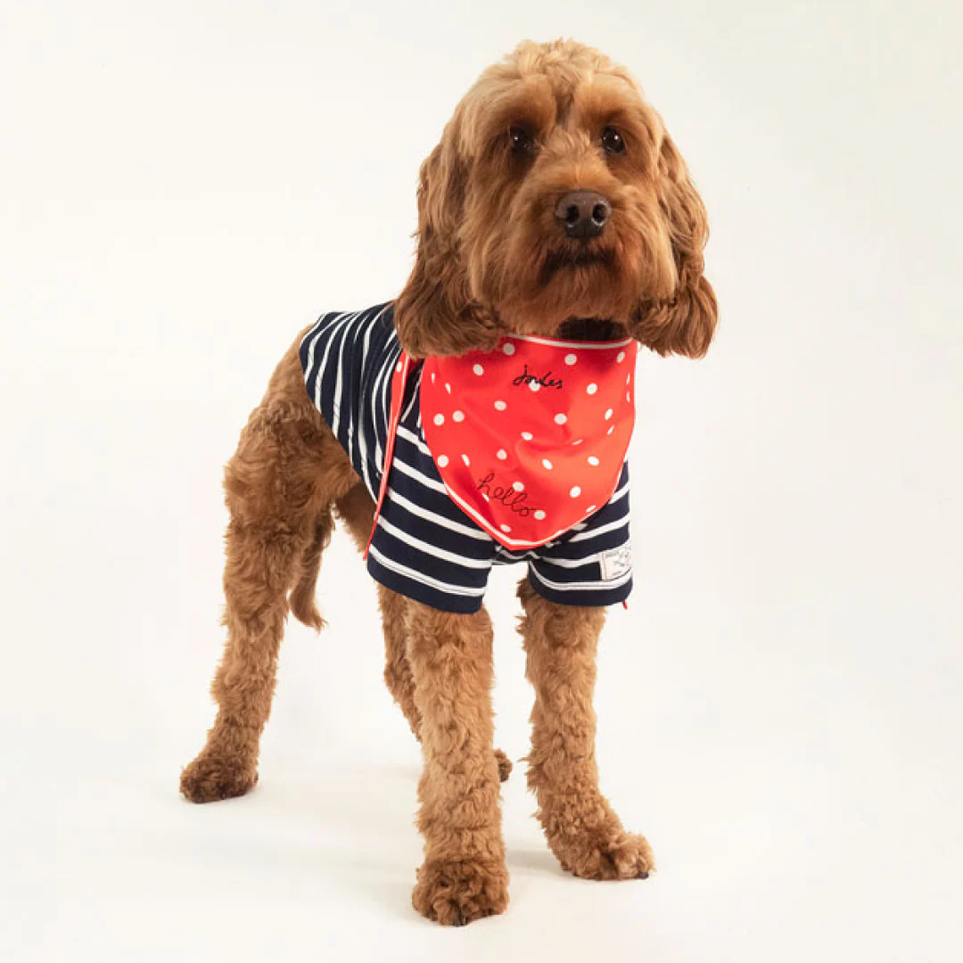 Joules Harbour Top & Neckerchief Set - Image 2