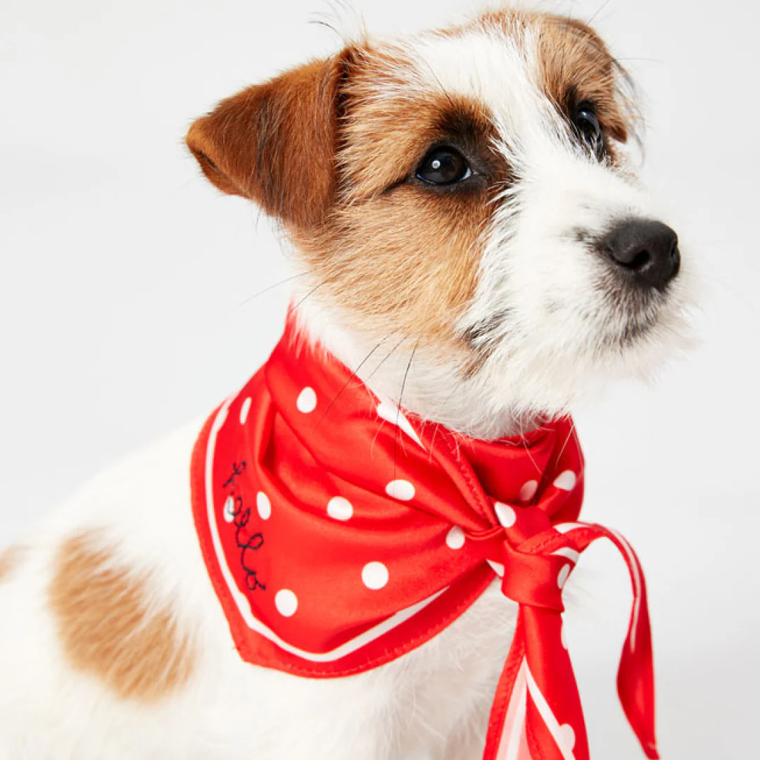 Joules Harbour Top & Neckerchief Set - Image 9