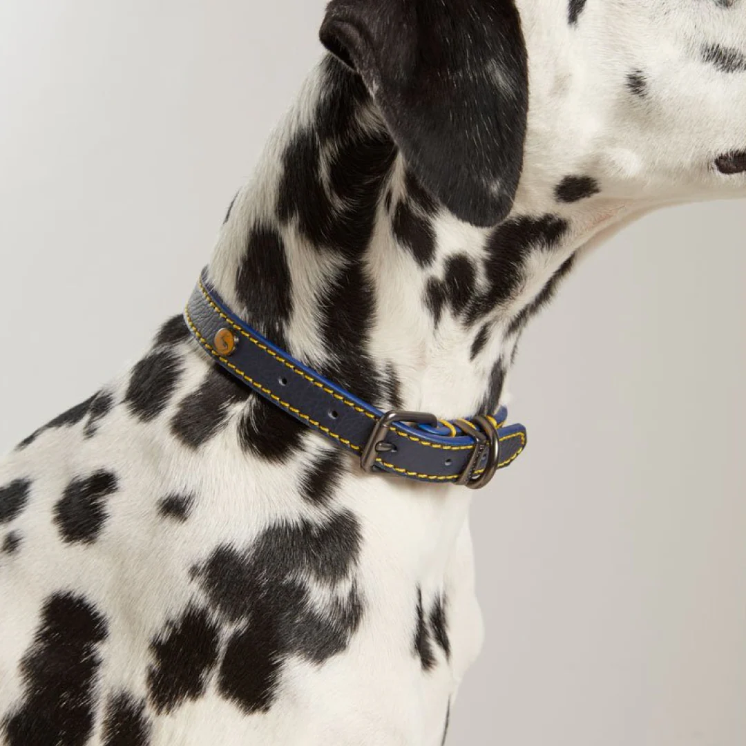 Joules Leather Dog Collar - Image 2