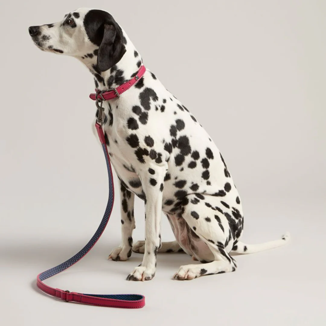 Joules Leather Dog Lead - Image 3